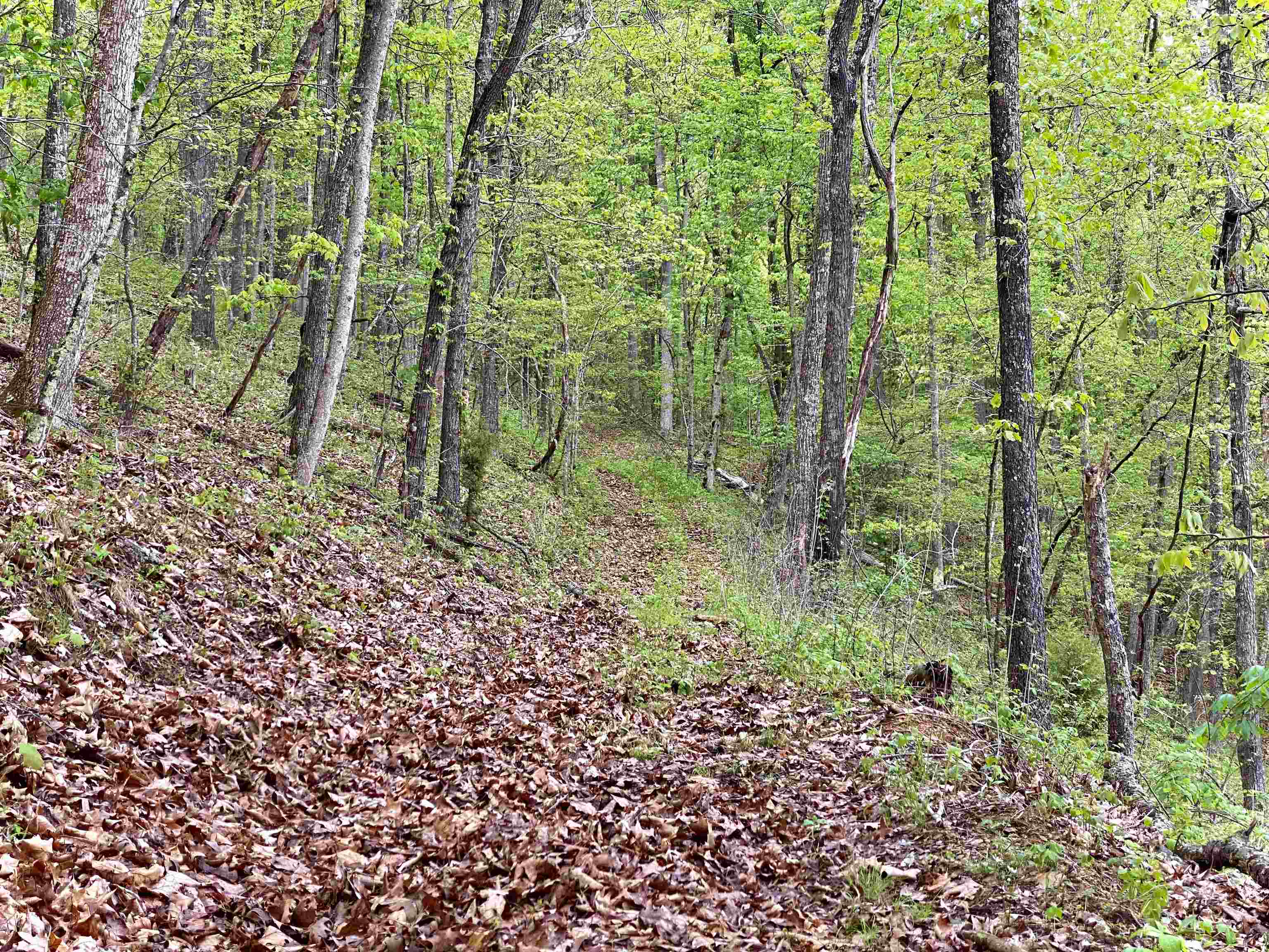 Tbd Night Hawk Drive Christiansburg VA 24073