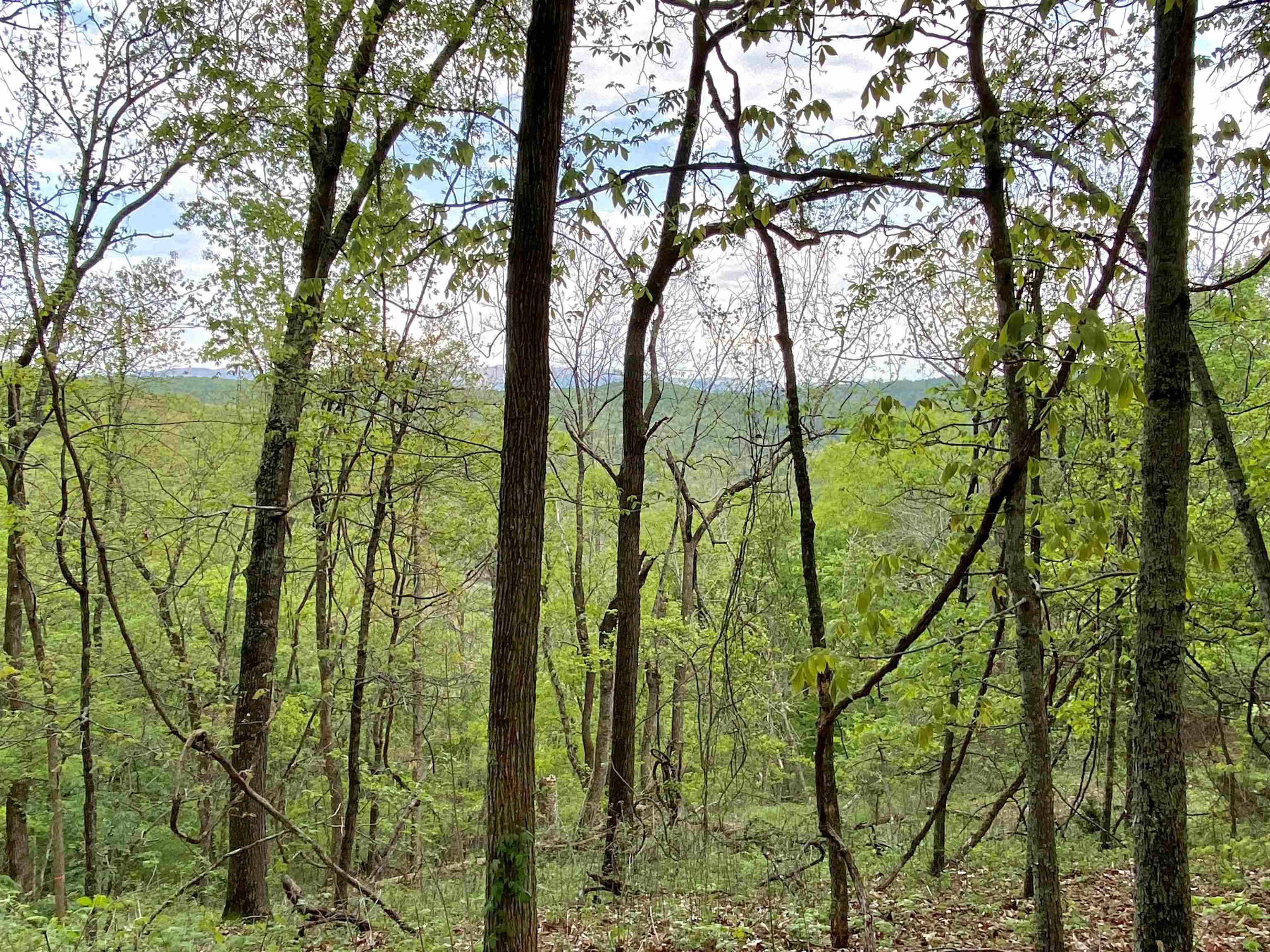 Tbd Night Hawk Drive Christiansburg VA 24073