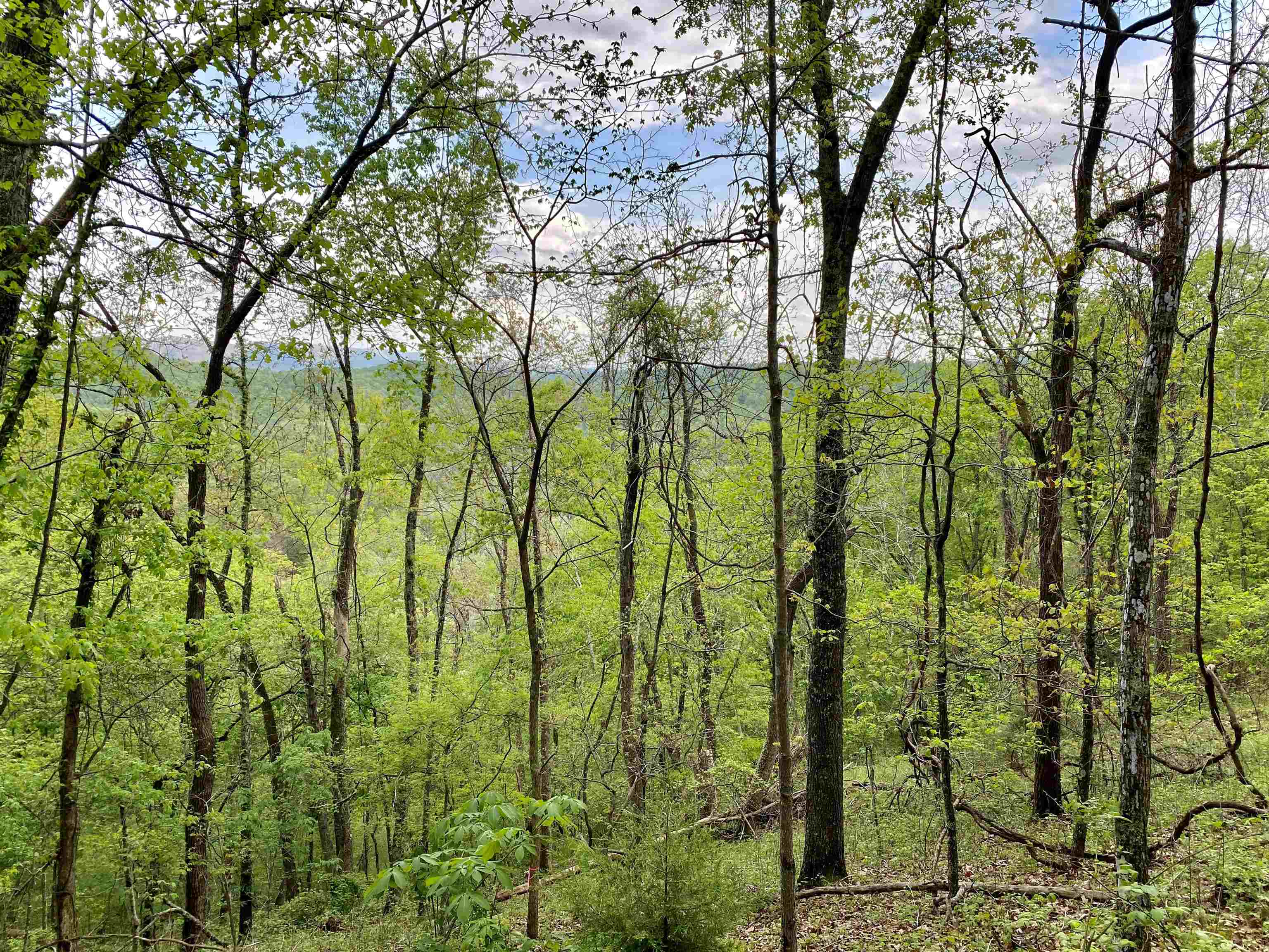 Tbd Night Hawk Drive Christiansburg VA 24073