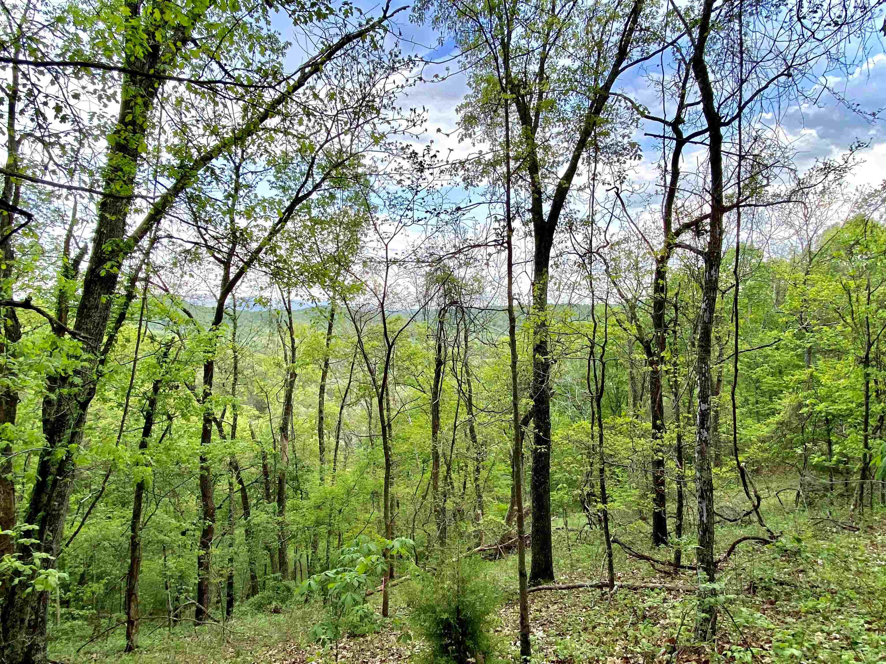 Tbd Night Hawk Drive Christiansburg VA 24073