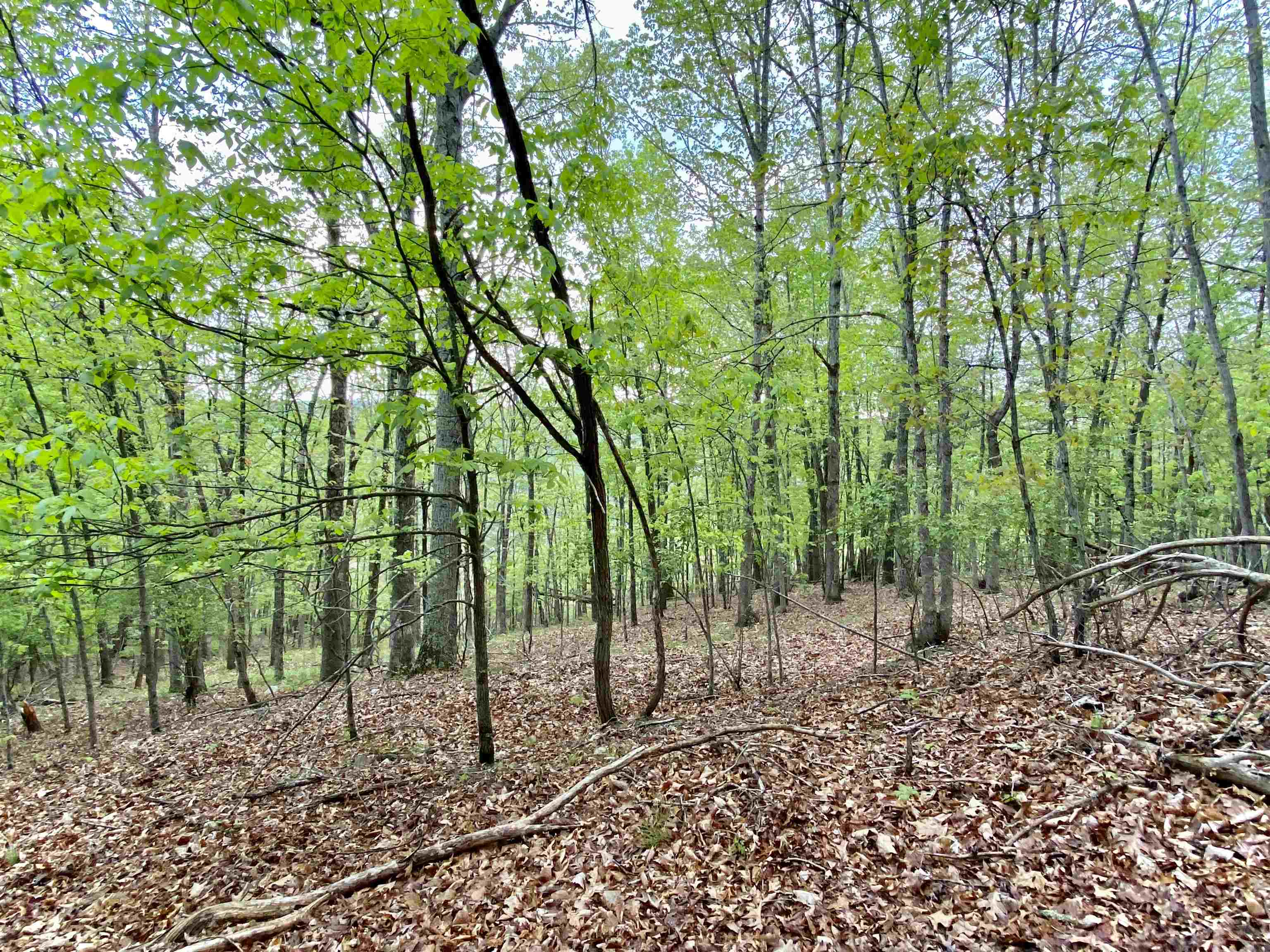 Tbd Night Hawk Drive Christiansburg VA 24073