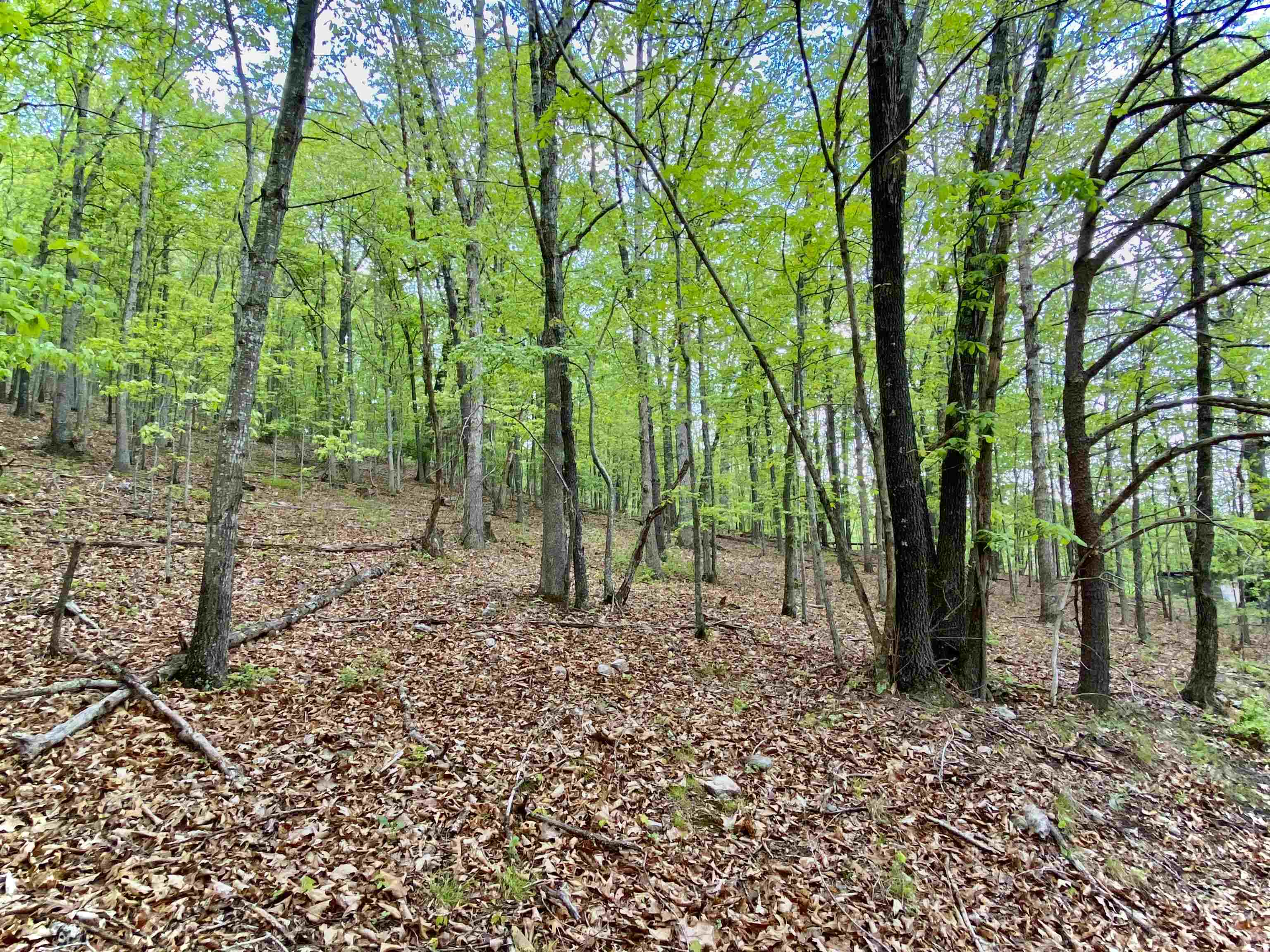 Tbd Night Hawk Drive Christiansburg VA 24073