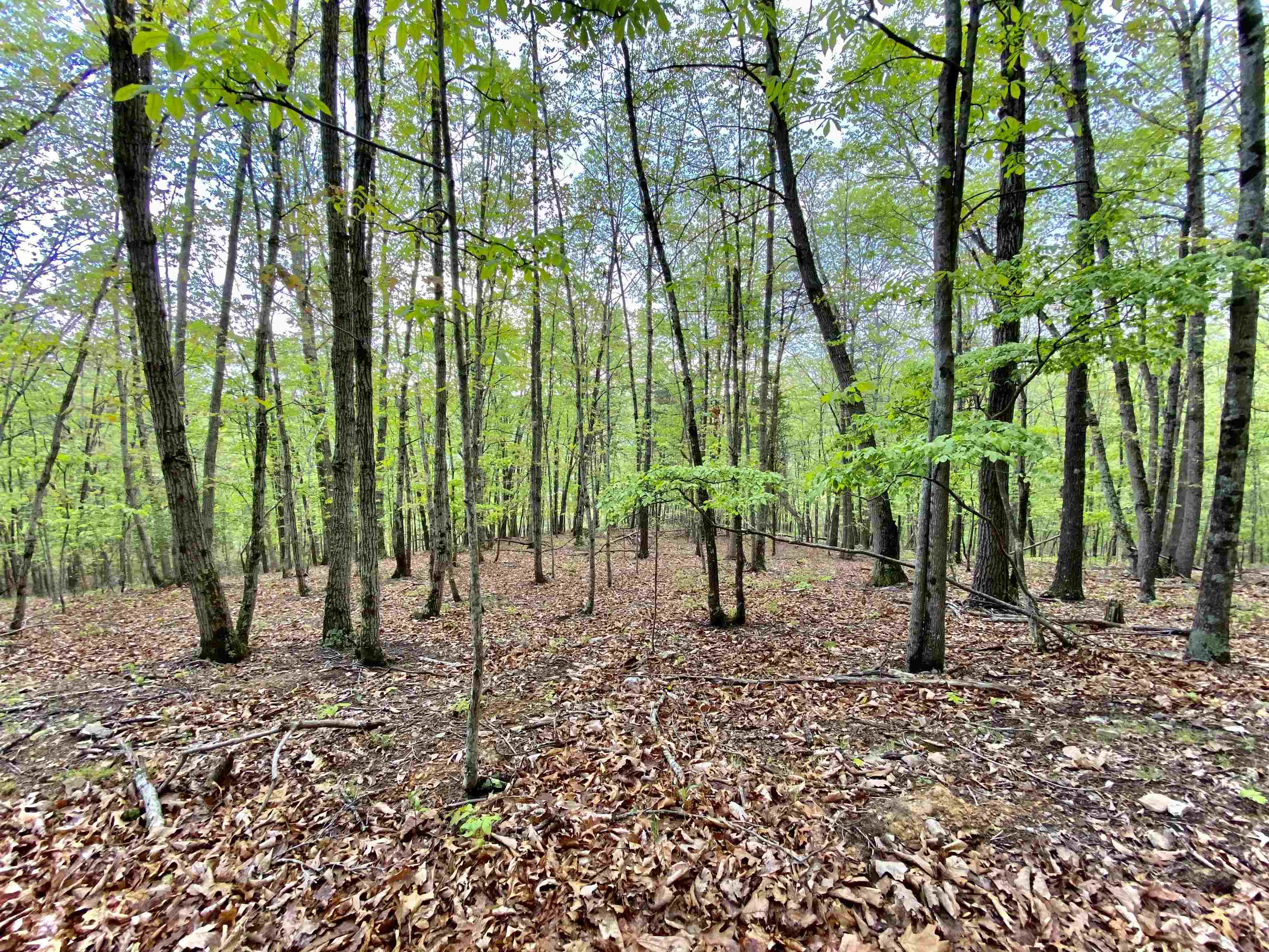 Tbd Night Hawk Drive Christiansburg VA 24073