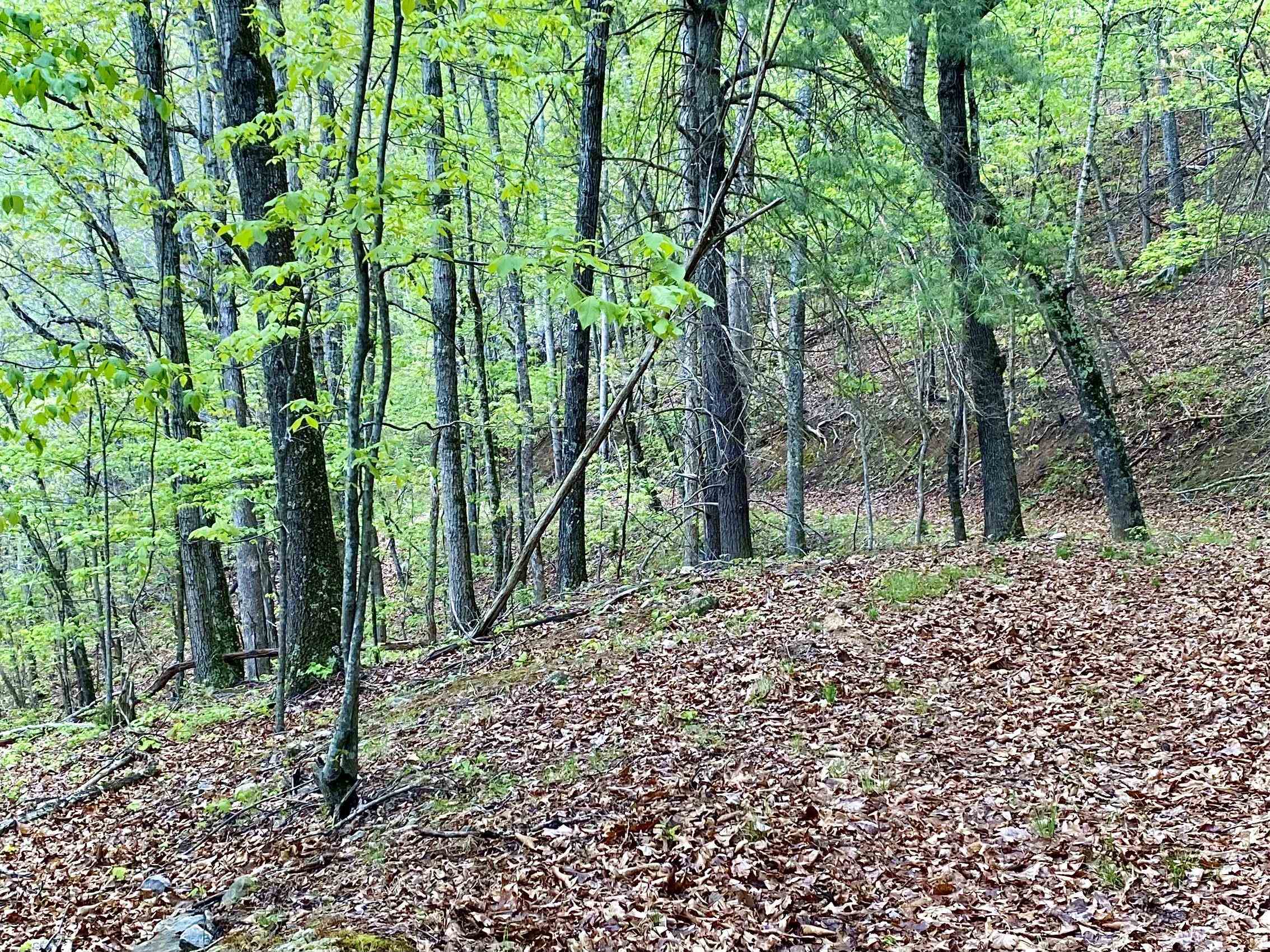 Tbd Night Hawk Drive Christiansburg VA 24073