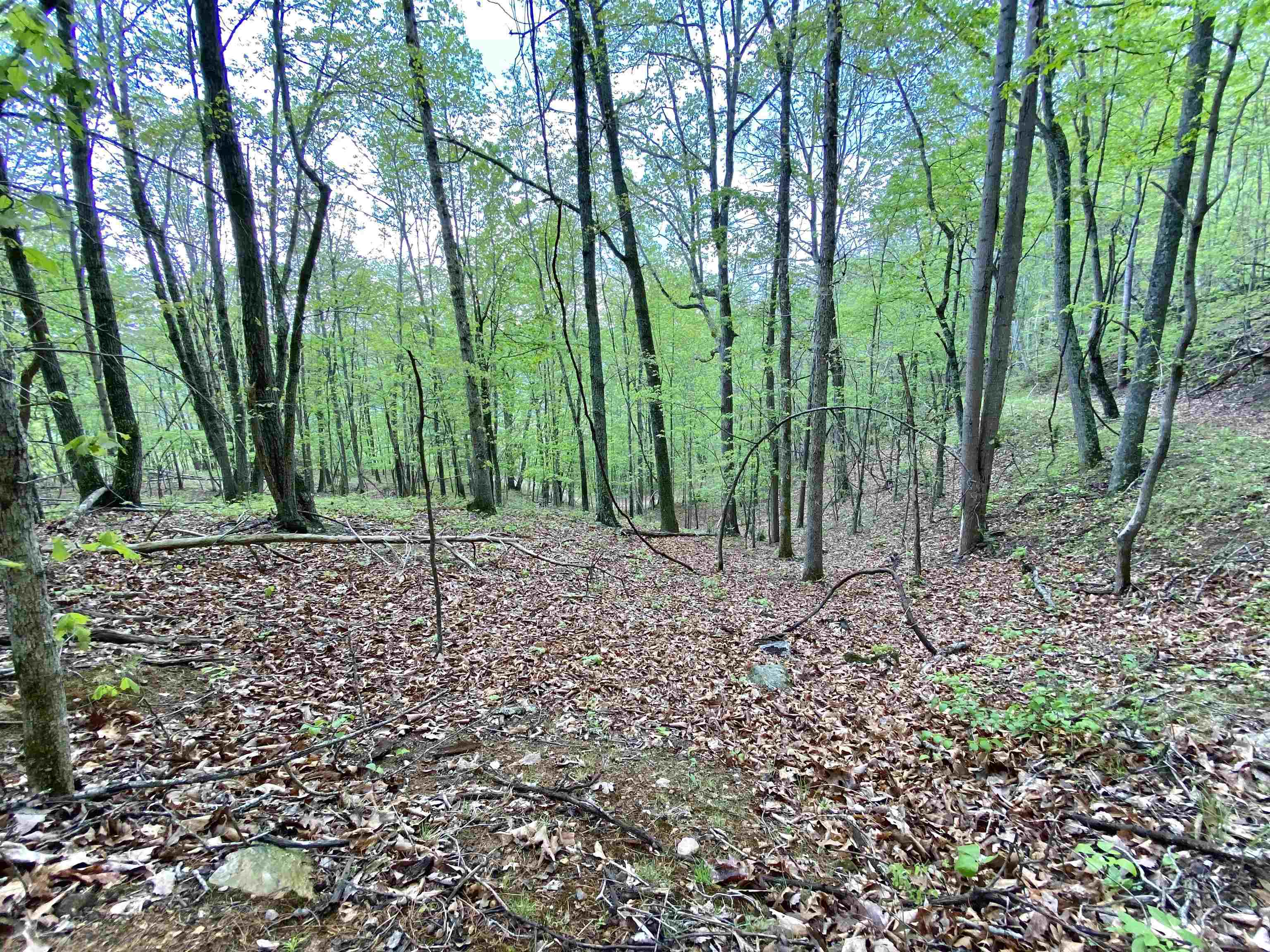 Tbd Night Hawk Drive Christiansburg VA 24073