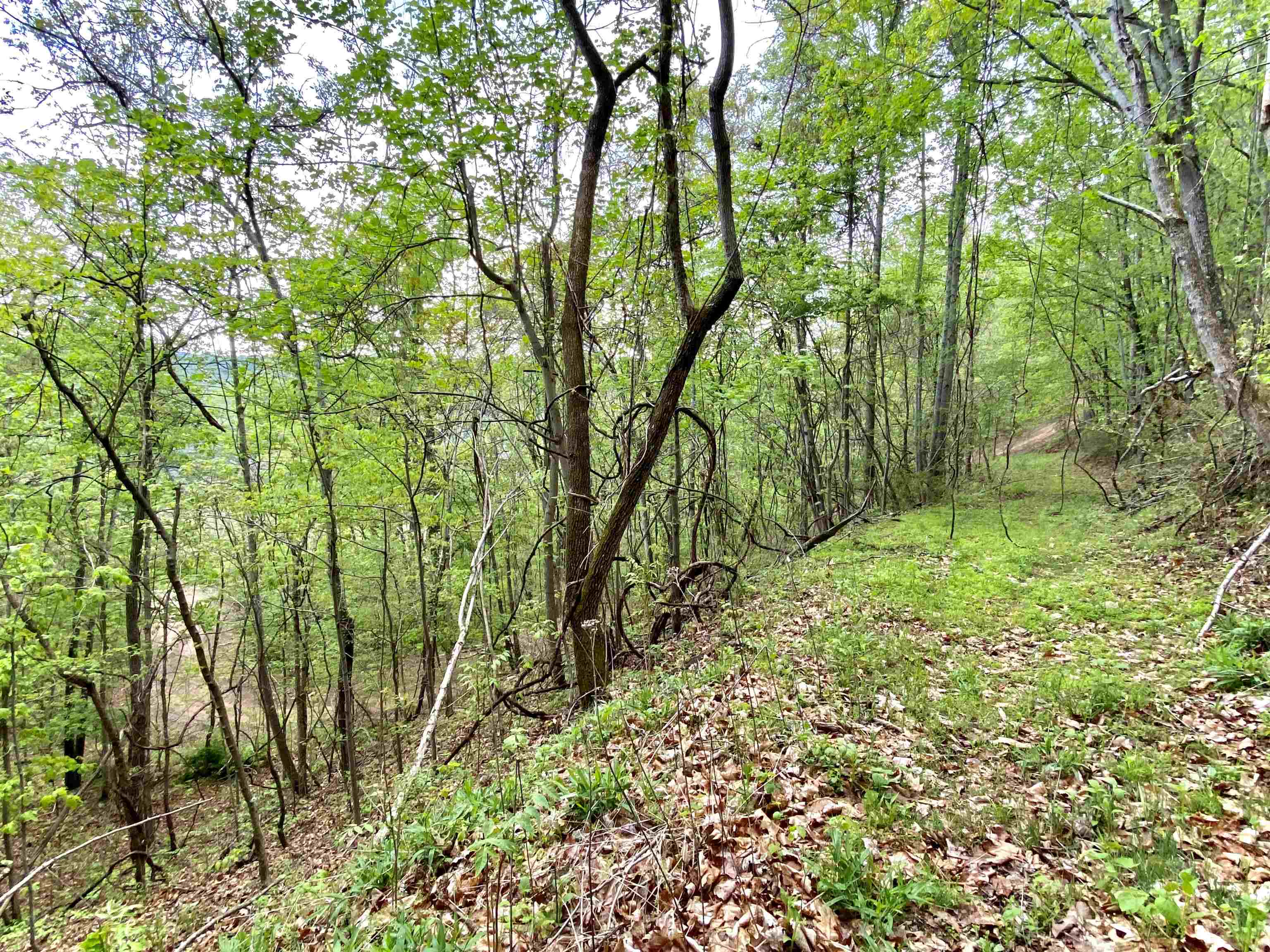 Tbd Night Hawk Drive Christiansburg VA 24073