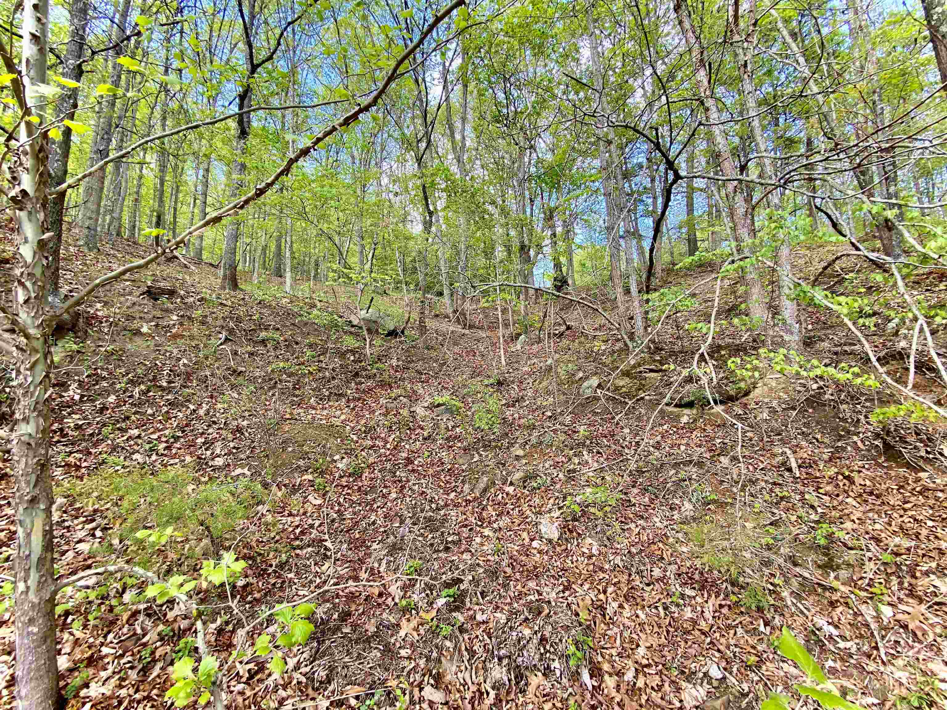 Tbd Night Hawk Drive Christiansburg VA 24073