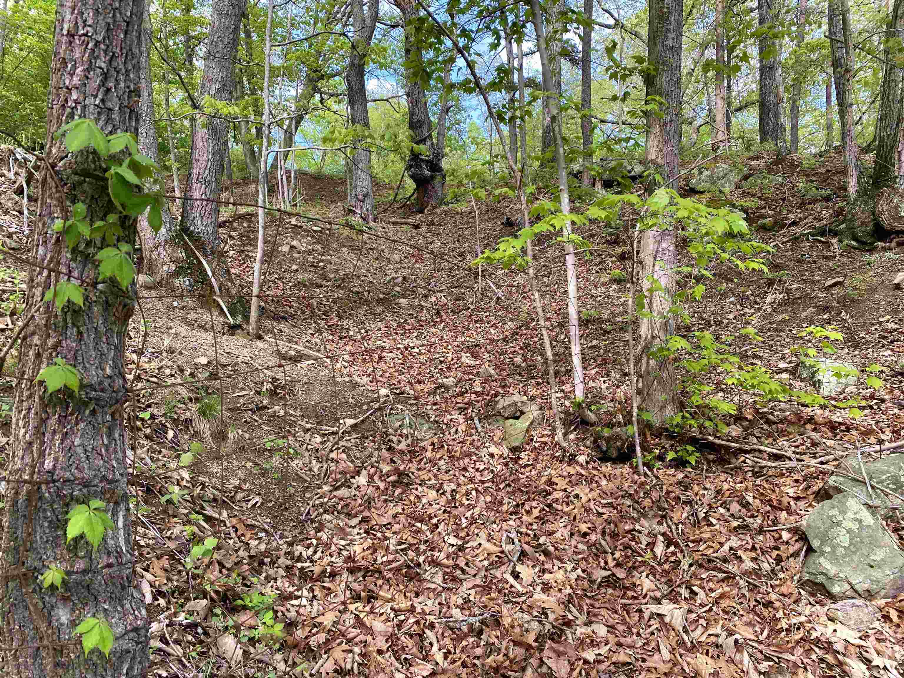 Tbd Night Hawk Drive Christiansburg VA 24073