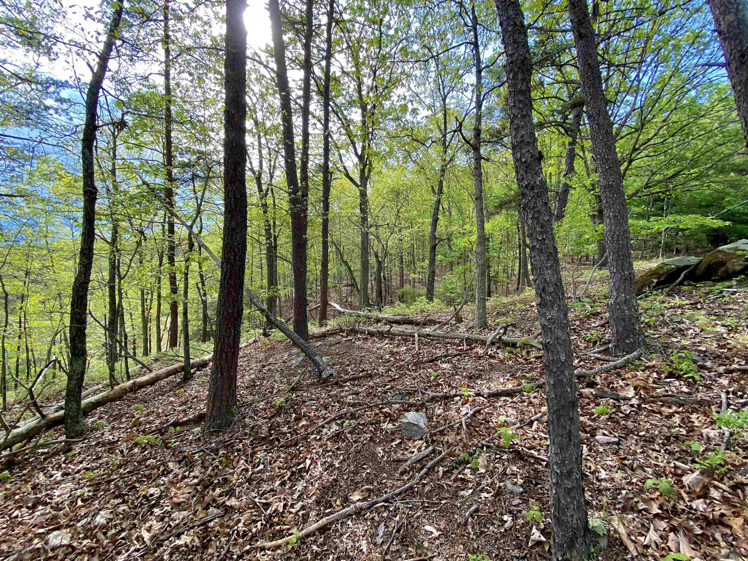 Tbd Night Hawk Drive Christiansburg VA 24073