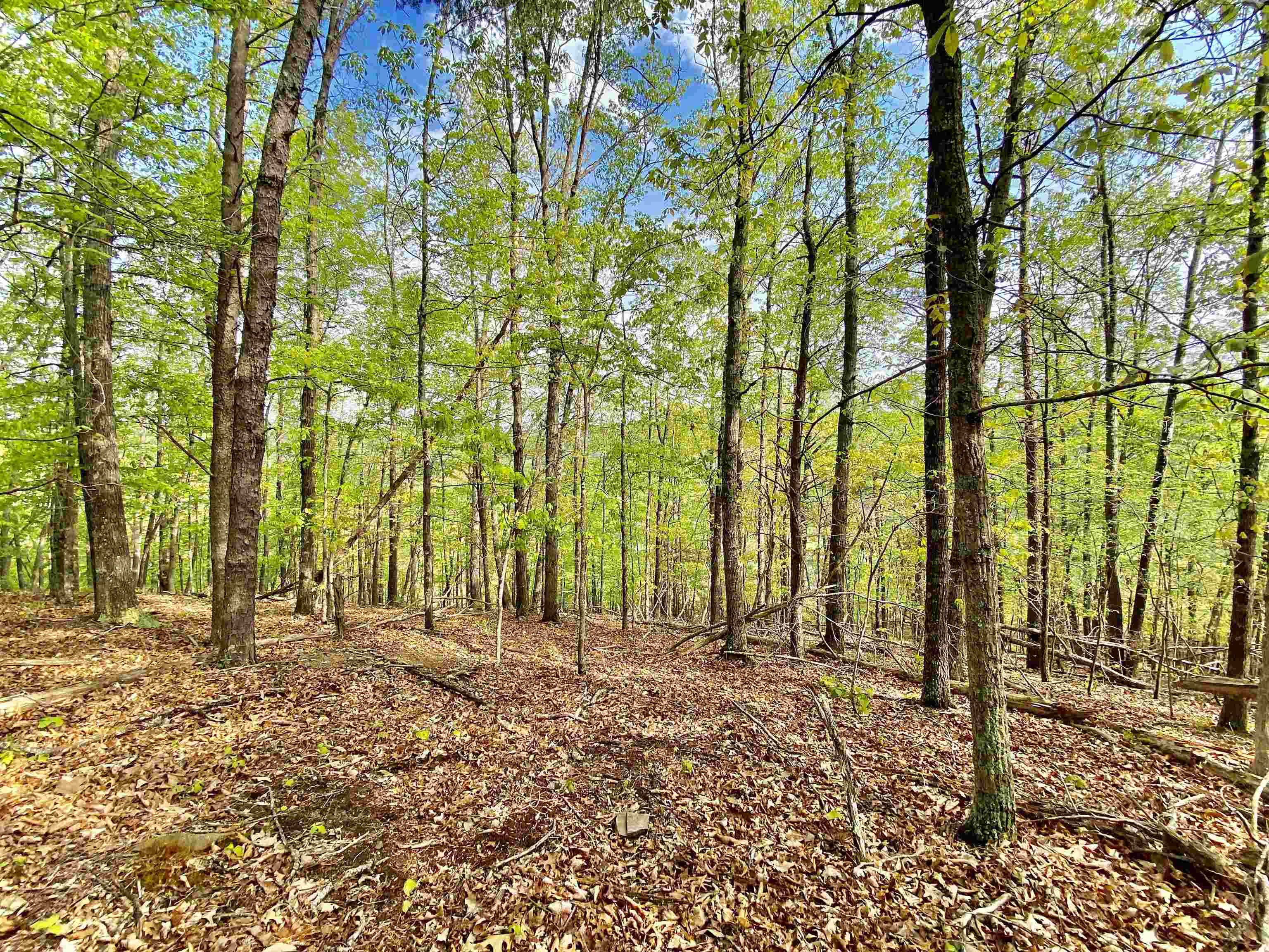 Tbd Night Hawk Drive Christiansburg VA 24073