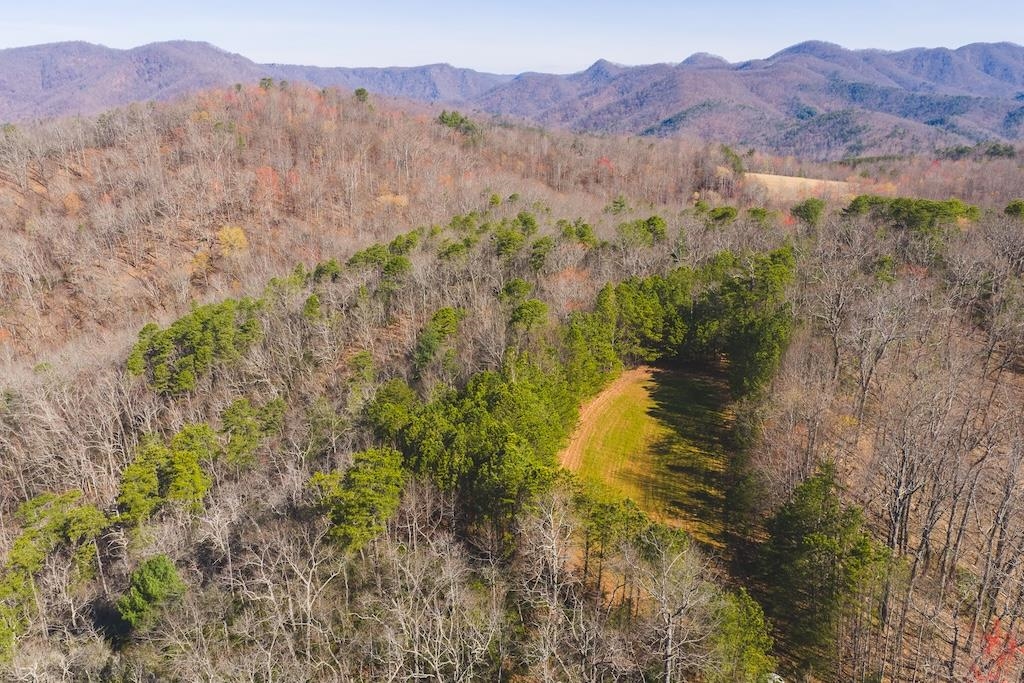 Tbd Ararat Highway Ararat VA 24053