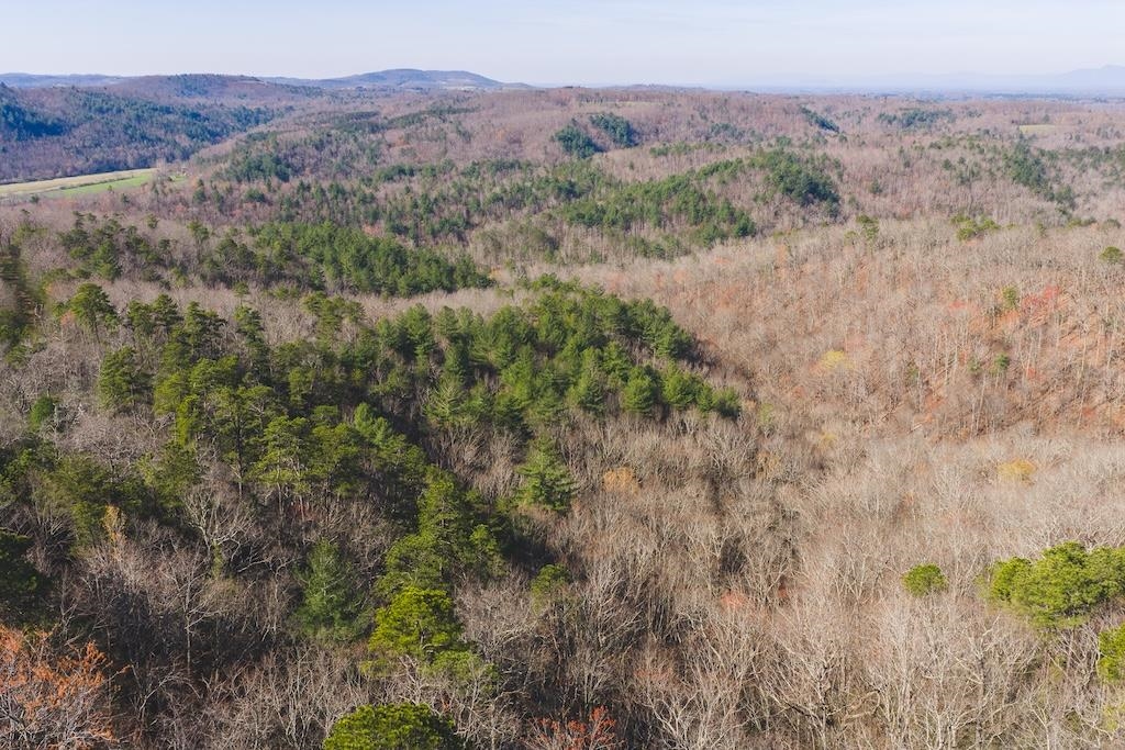 Tbd Ararat Highway Ararat VA 24053