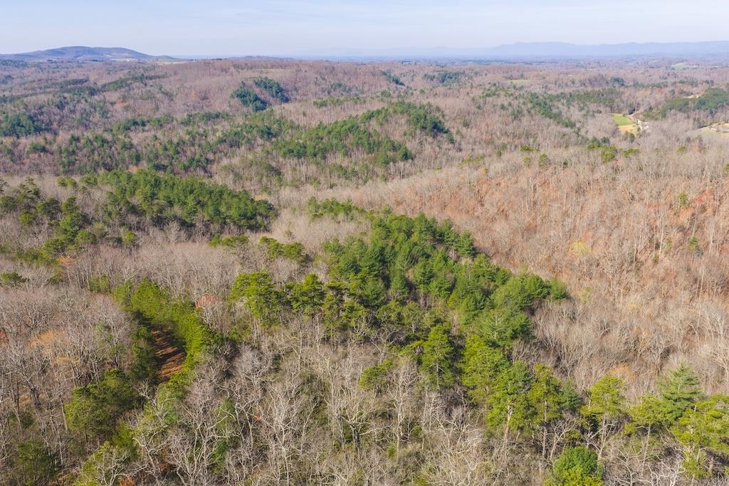 Tbd Ararat Highway Ararat VA 24053