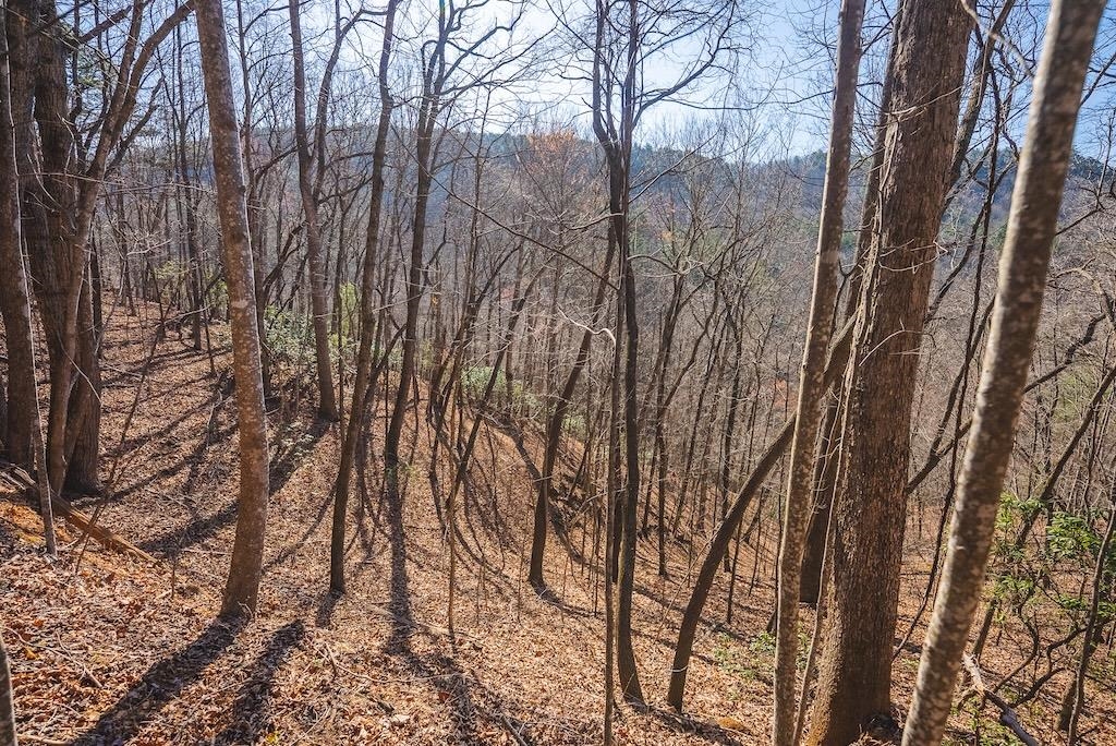 Tbd Ararat Highway Ararat VA 24053