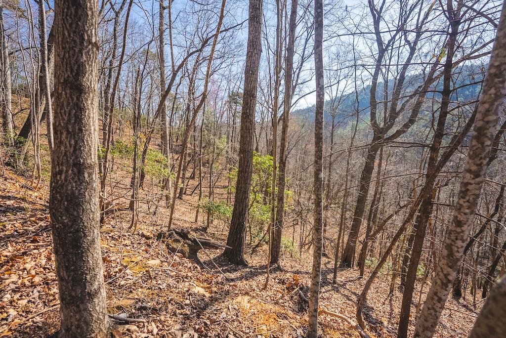 Tbd Ararat Highway Ararat VA 24053