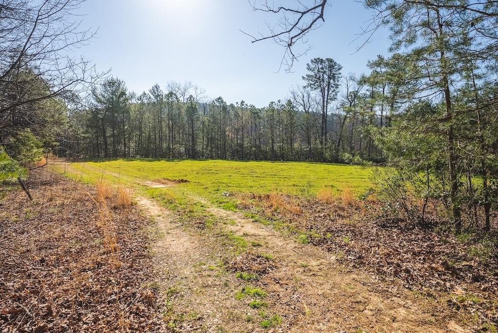 Tbd Ararat Highway Ararat VA 24053