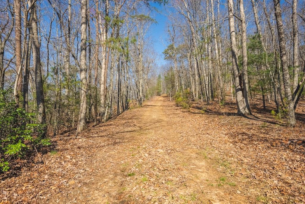 Tbd Ararat Highway Ararat VA 24053