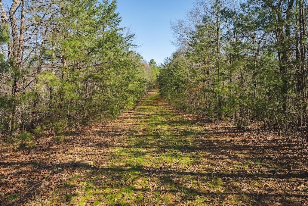 Tbd Ararat Highway Ararat VA 24053