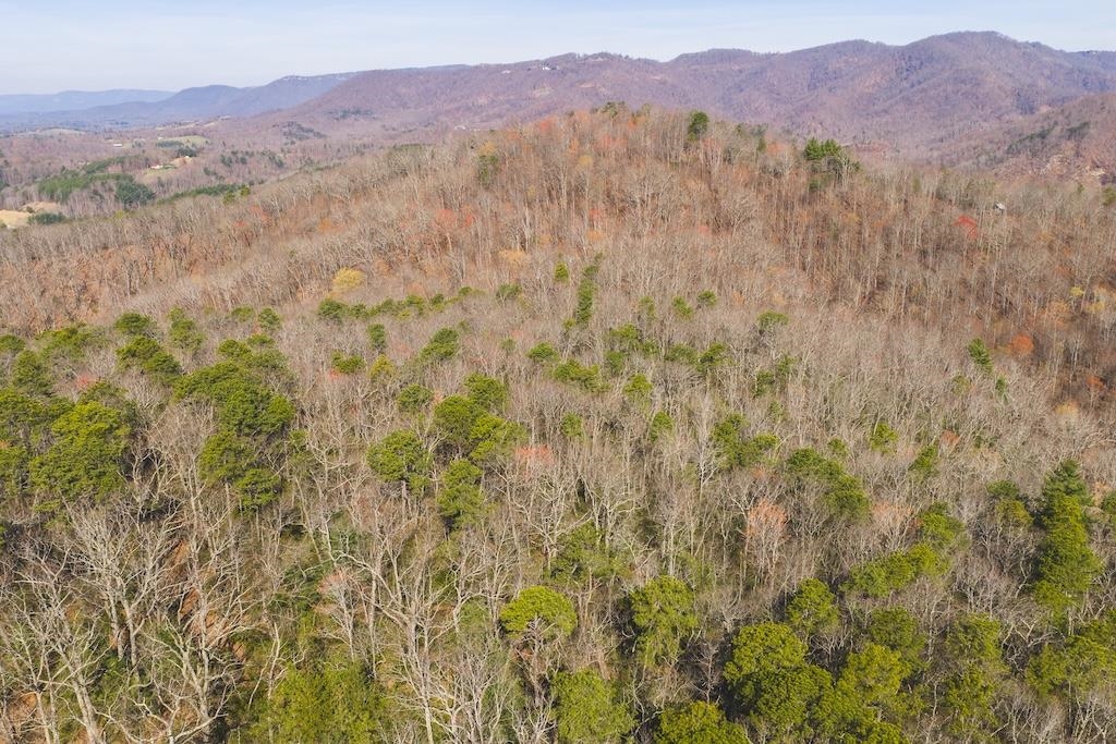 Tbd Ararat Highway Ararat VA 24053