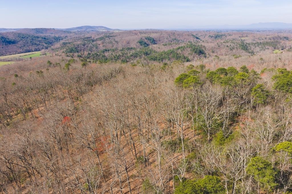 Tbd Ararat Highway Ararat VA 24053