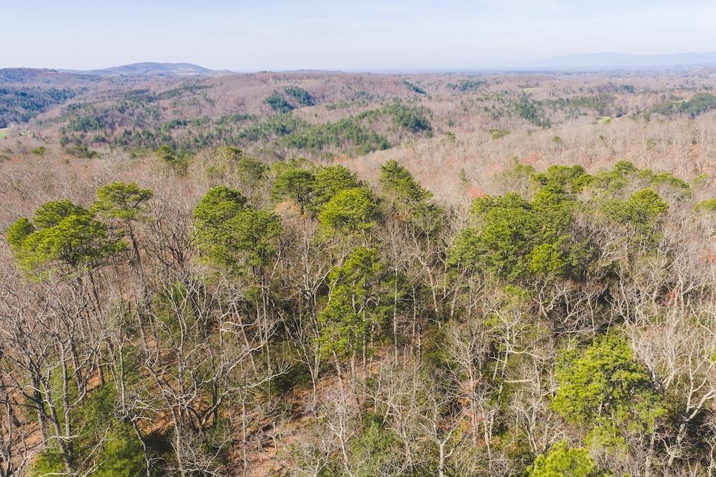 Tbd Ararat Highway Ararat VA 24053