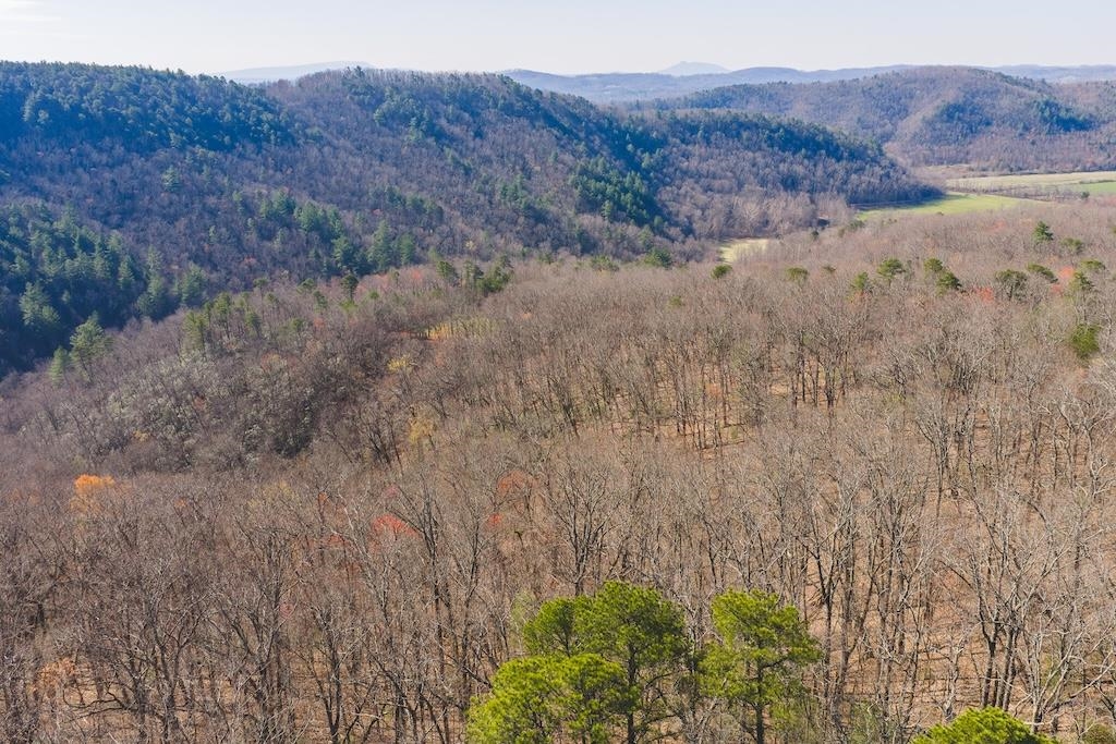 Tbd Ararat Highway Ararat VA 24053