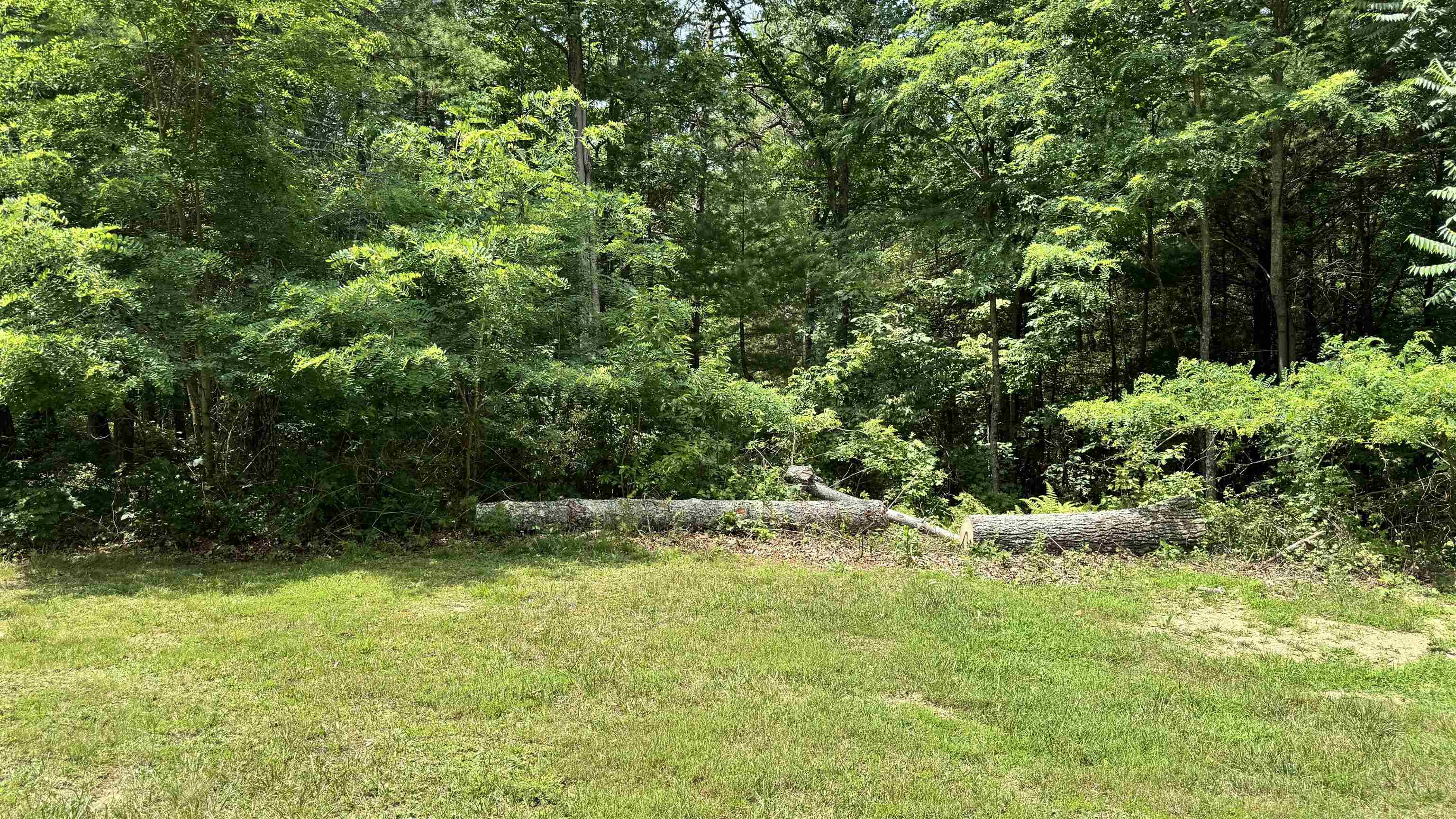 Lot 49 River Oaks Drive Austinville VA 24312