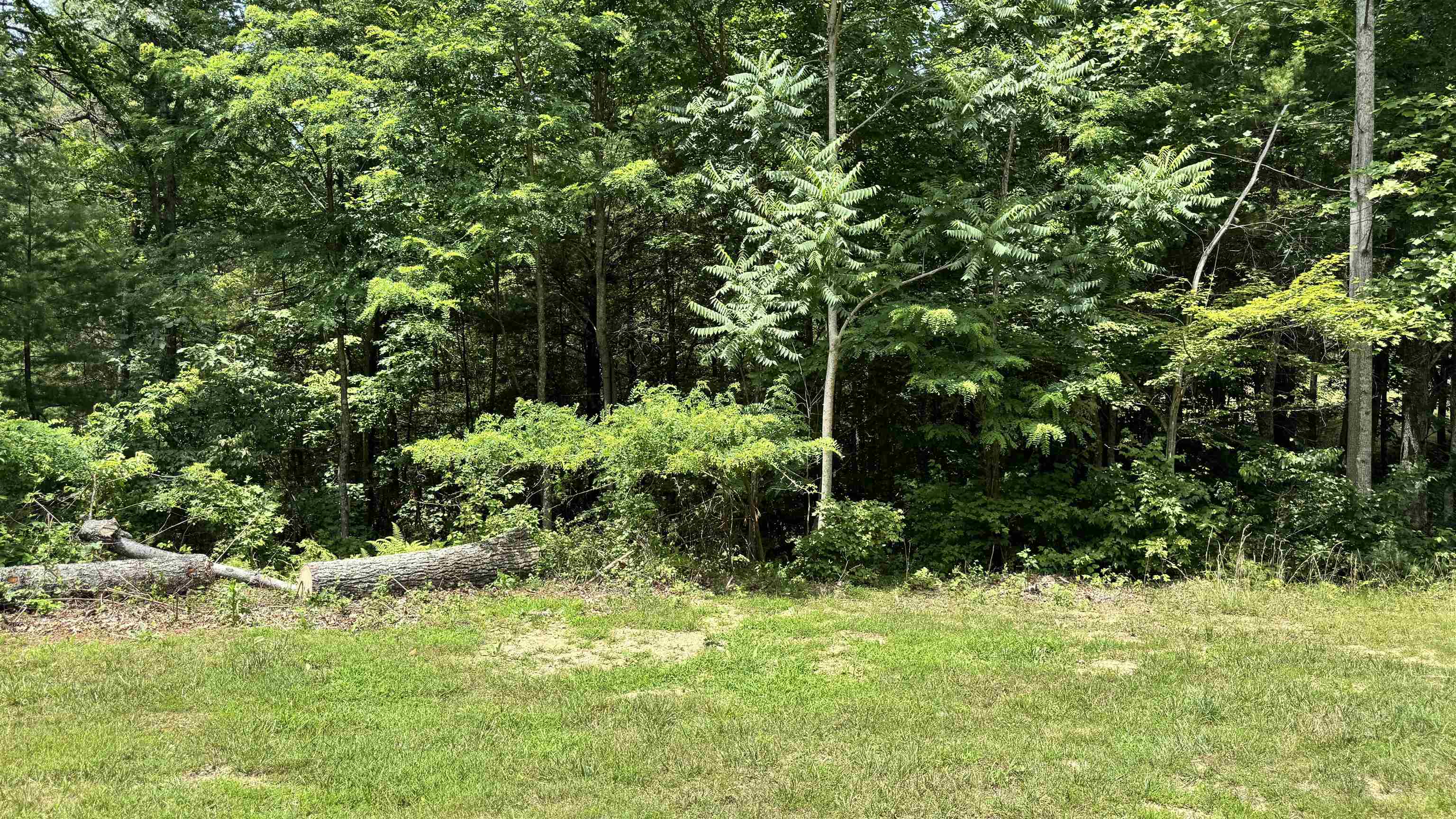 Lot 49 River Oaks Drive Austinville VA 24312