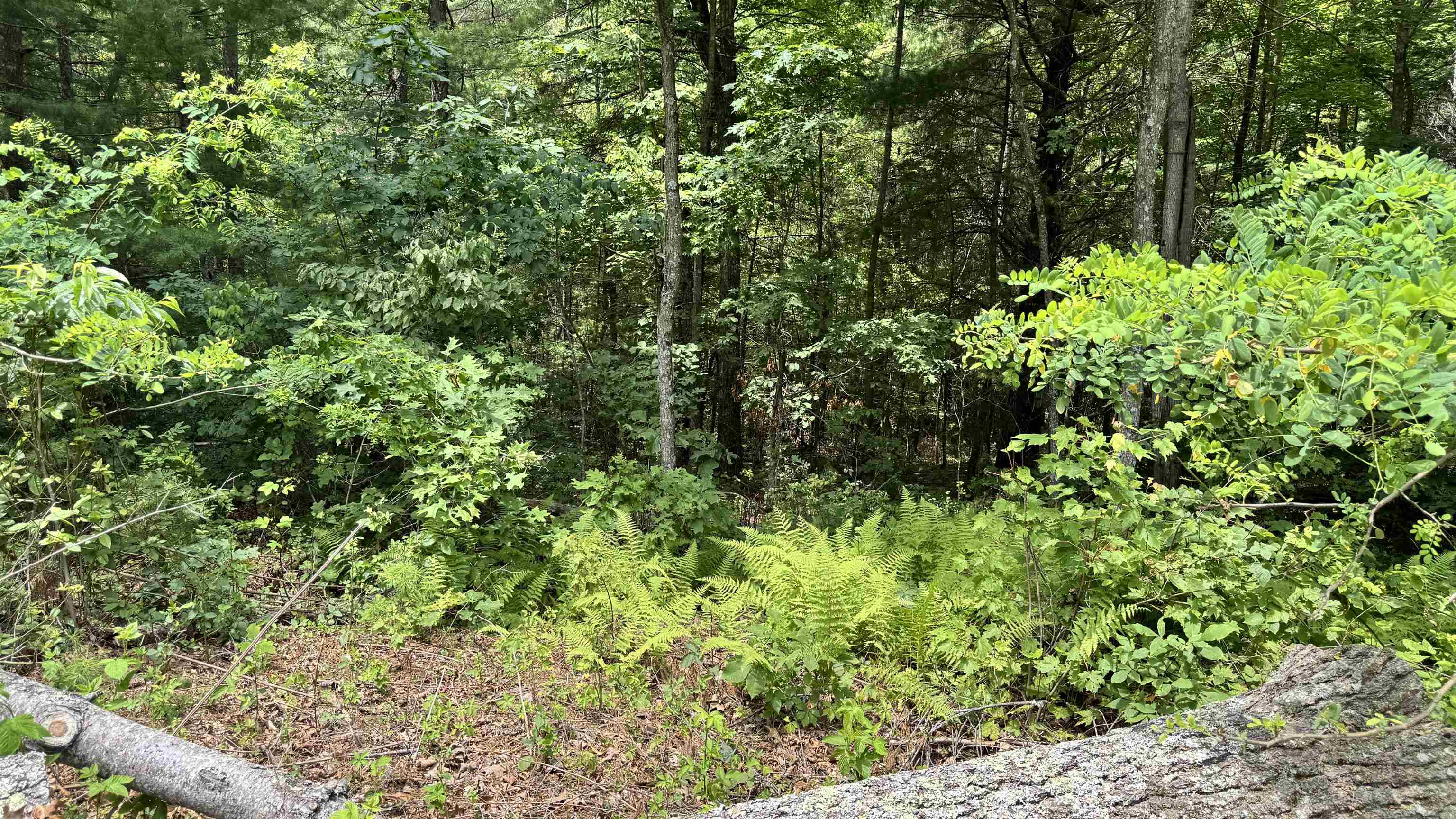 Lot 49 River Oaks Drive Austinville VA 24312