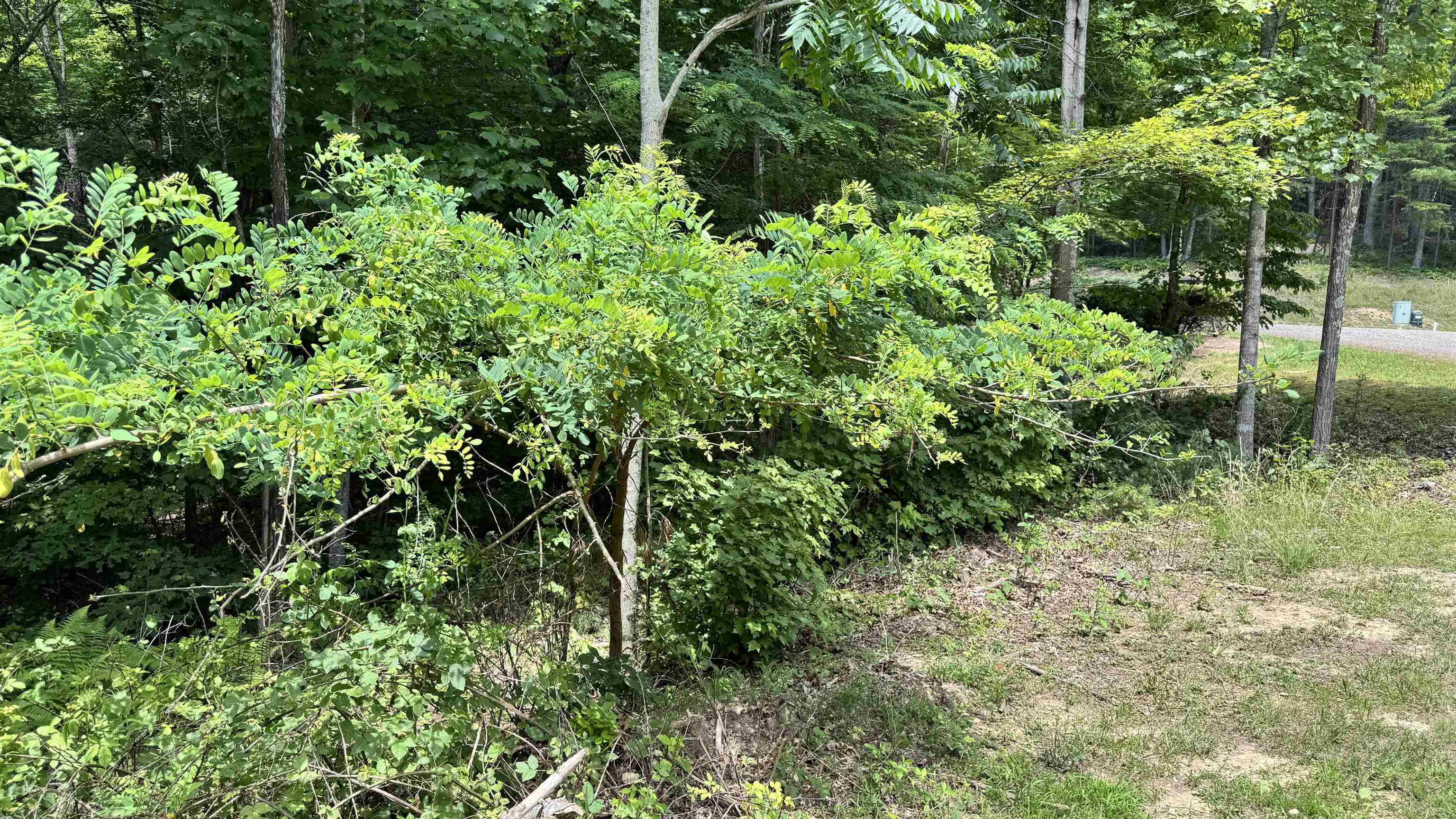 Lot 49 River Oaks Drive Austinville VA 24312