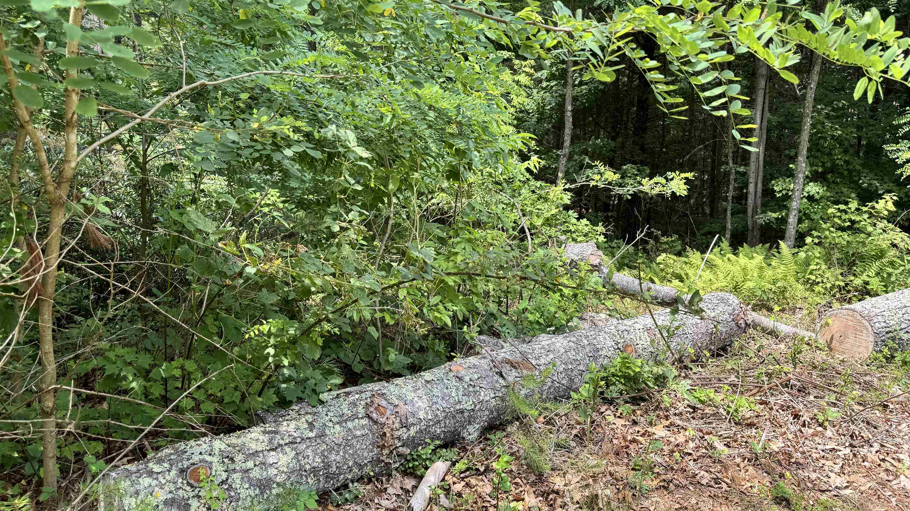 Lot 49 River Oaks Drive Austinville VA 24312