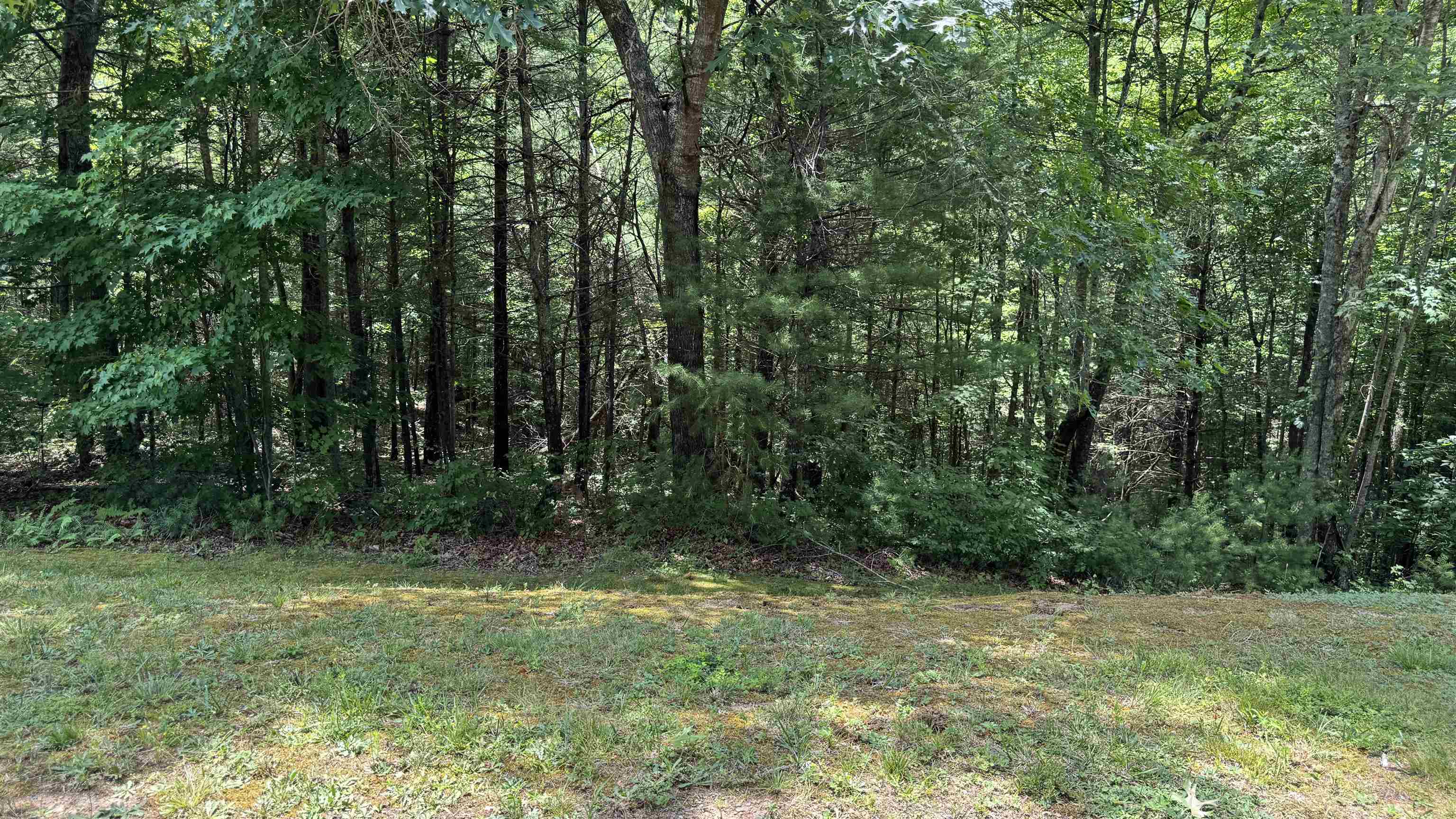 Lot 49 River Oaks Drive Austinville VA 24312