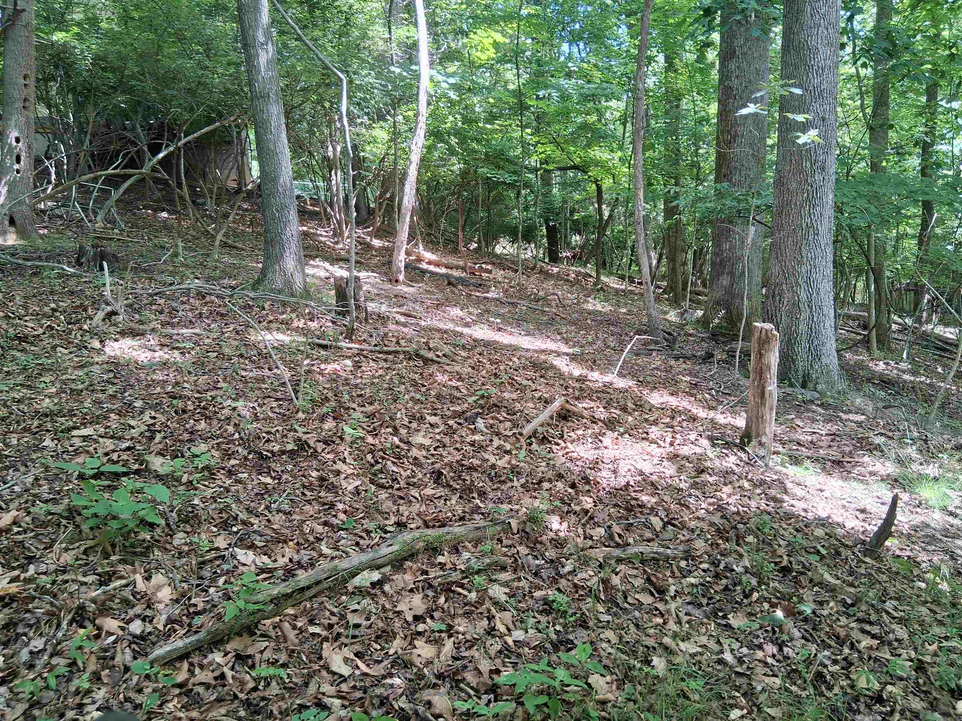 Tbd Frazier Road Radford VA 24141