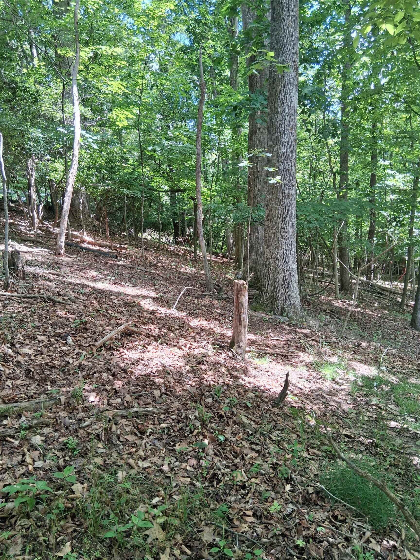Tbd Frazier Road Radford VA 24141