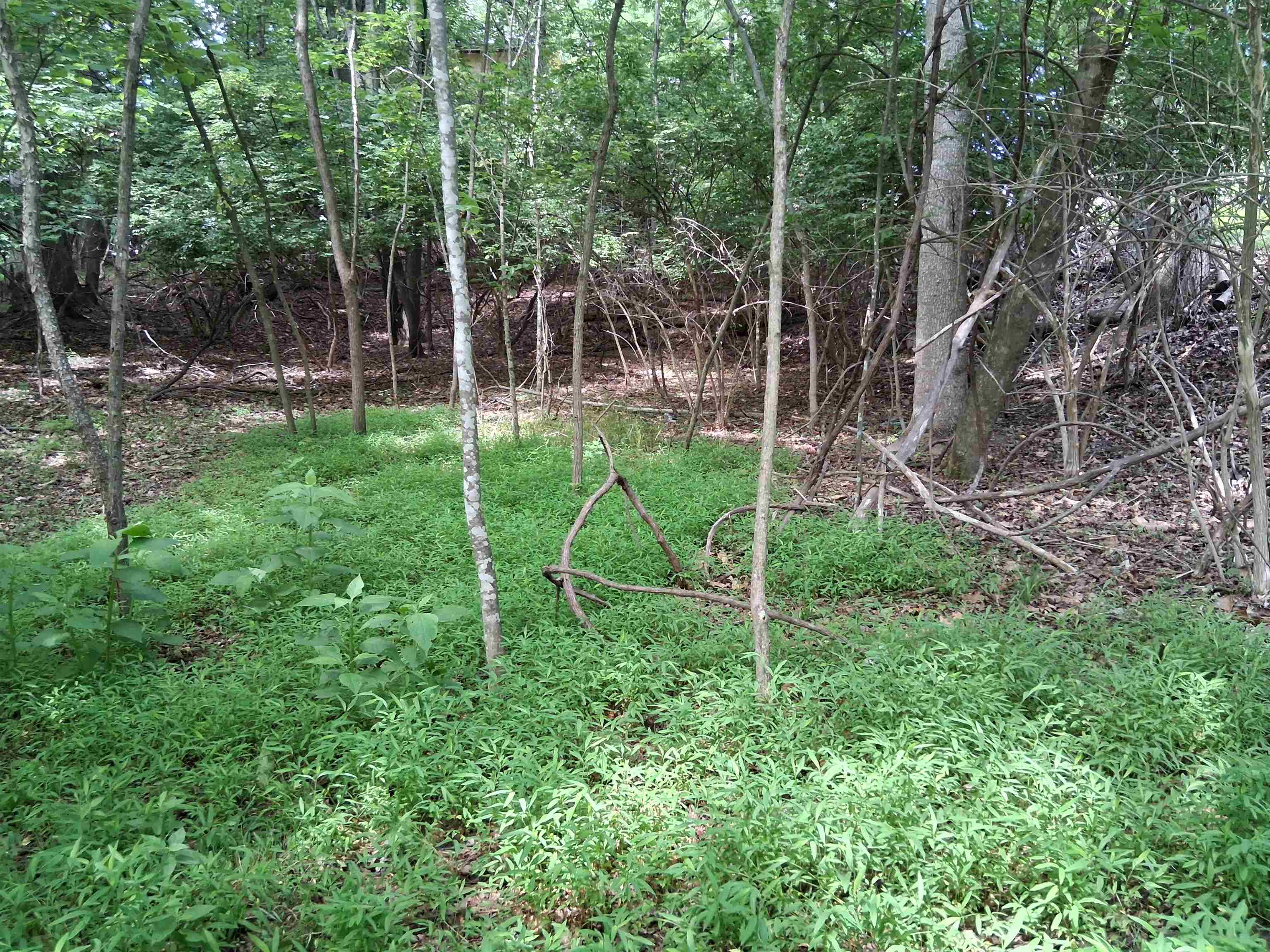 Tbd Frazier Road Radford VA 24141
