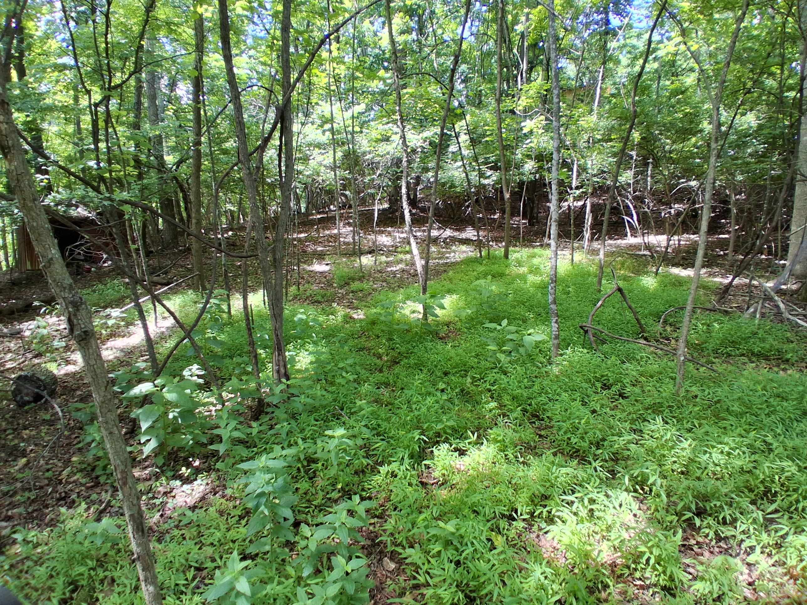 Tbd Frazier Road Radford VA 24141