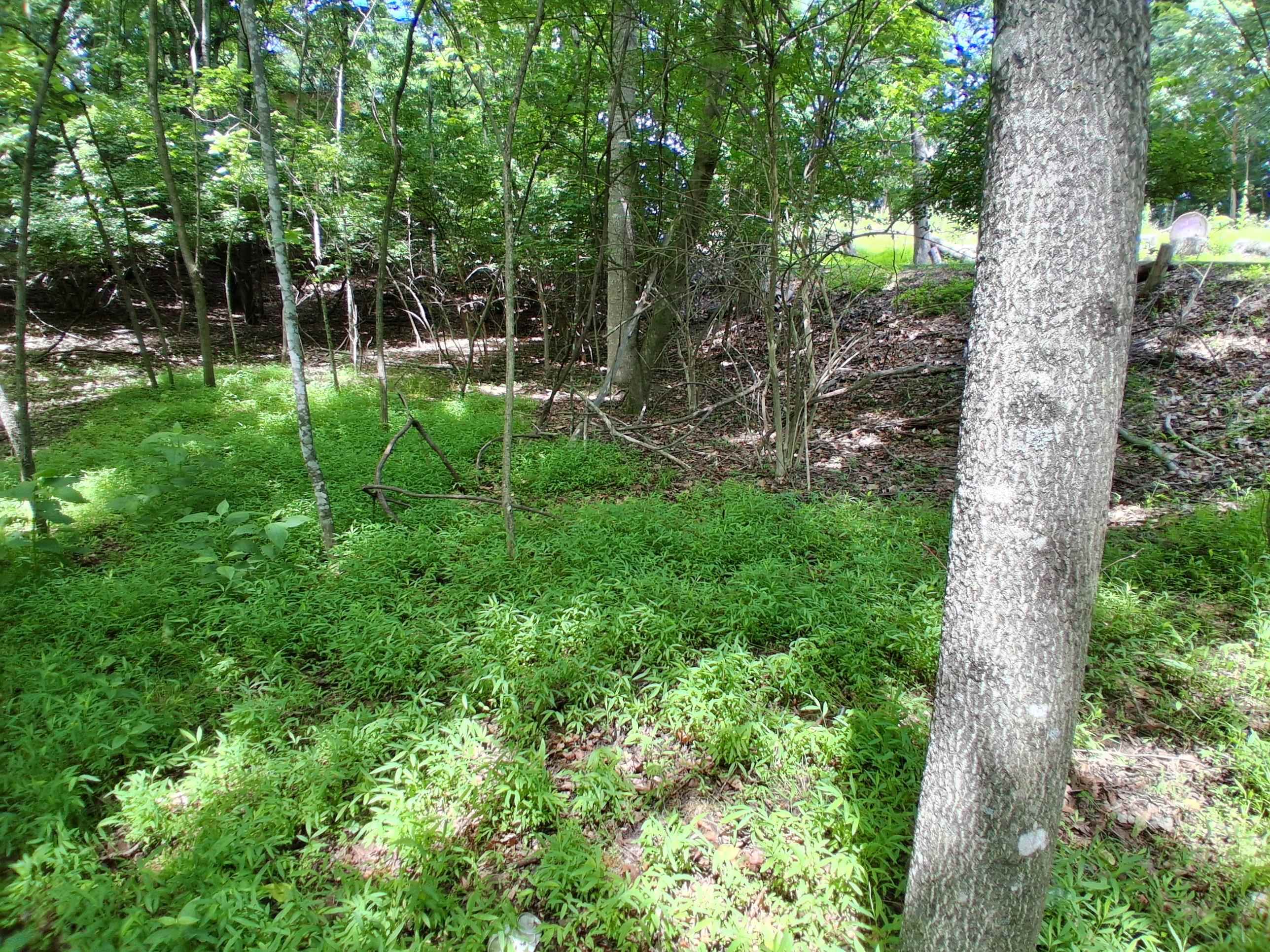 Tbd Frazier Road Radford VA 24141