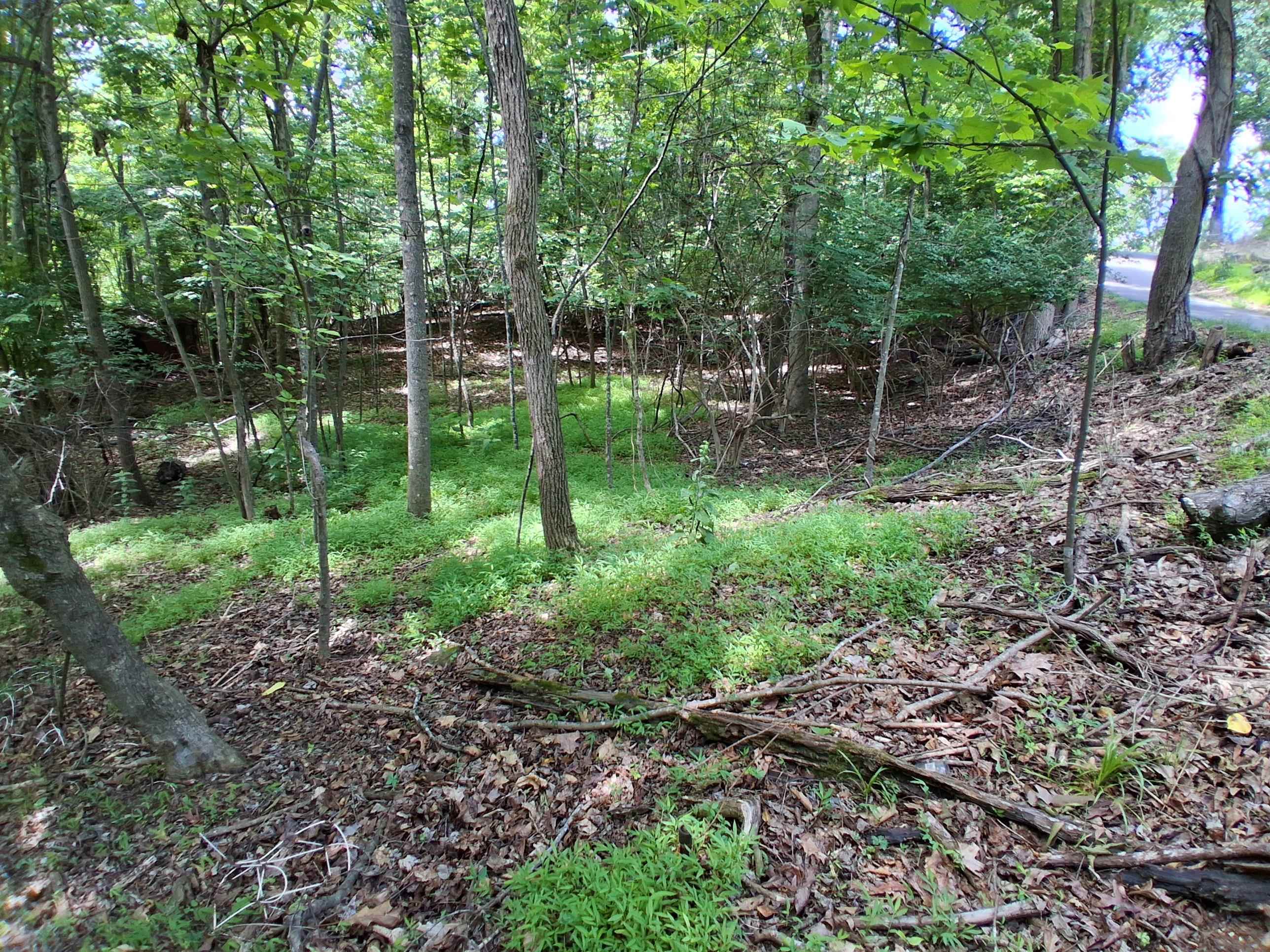 Tbd Frazier Road Radford VA 24141