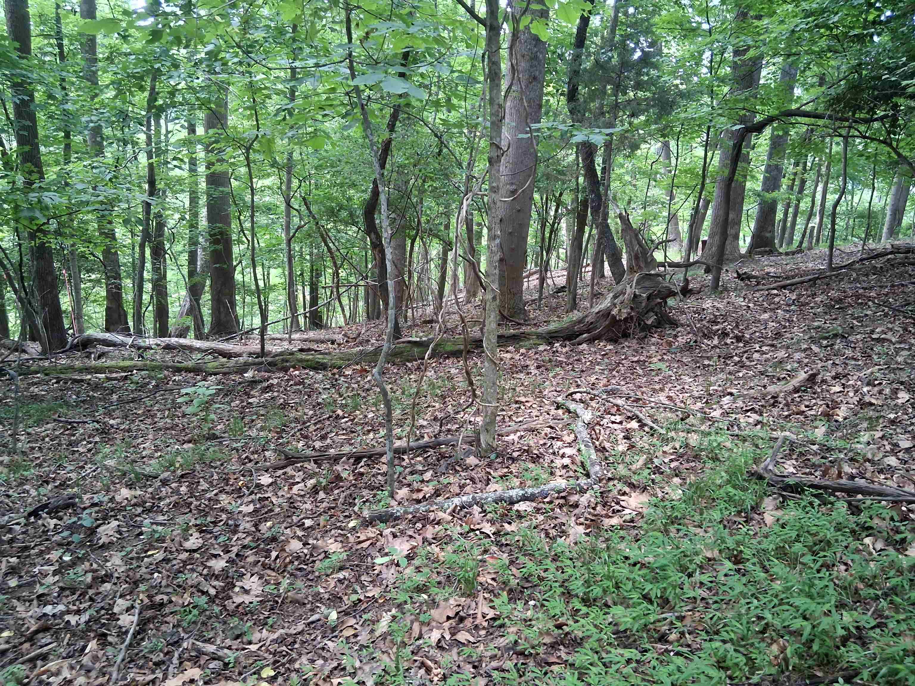Tbd Frazier Road Radford VA 24141