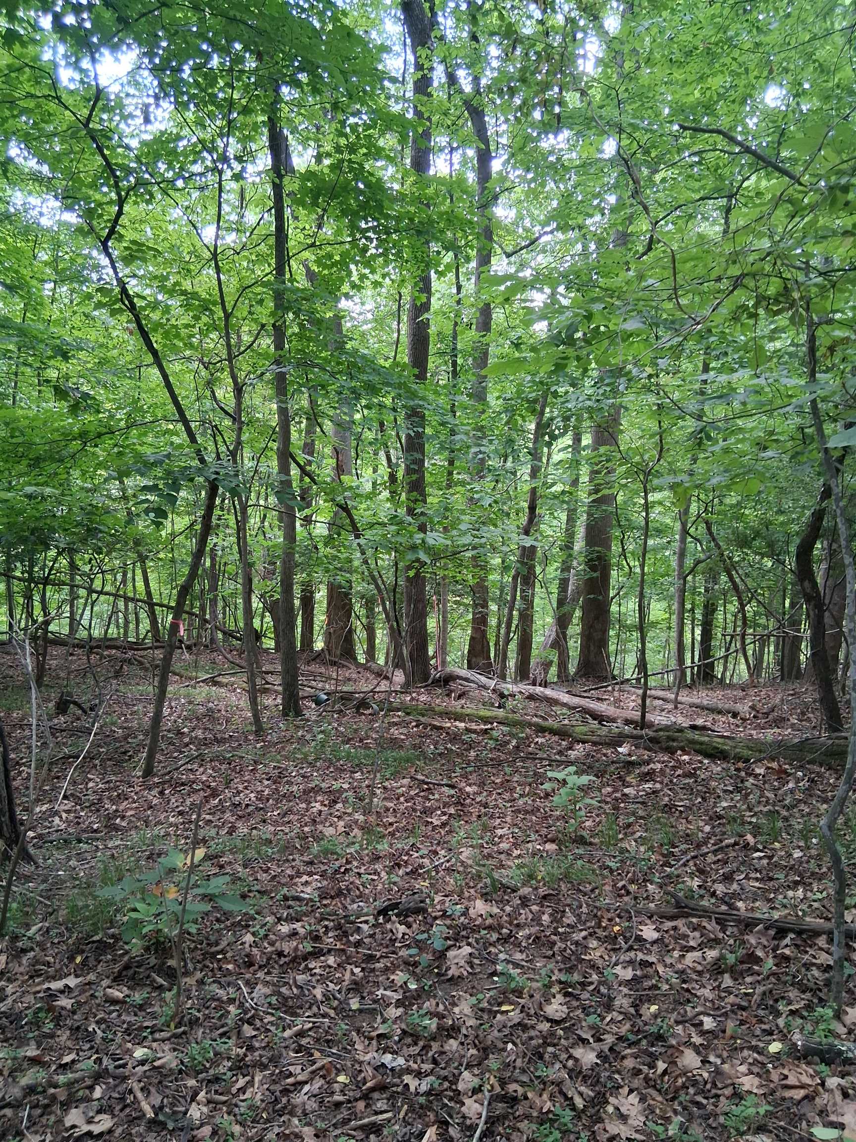 Tbd Frazier Road Radford VA 24141
