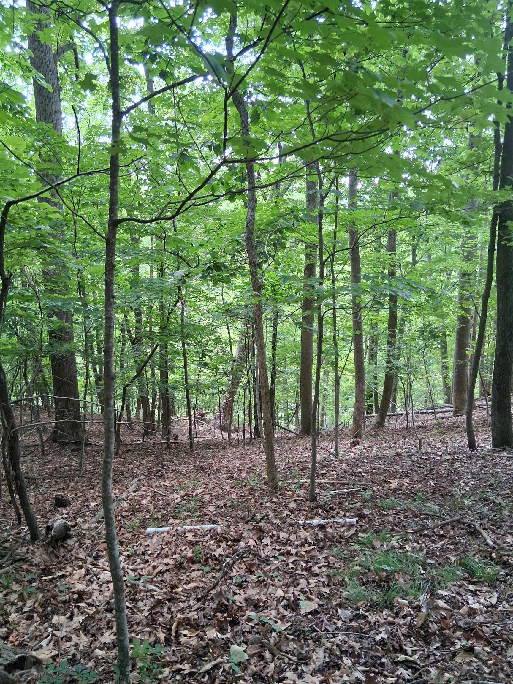 Tbd Frazier Road Radford VA 24141