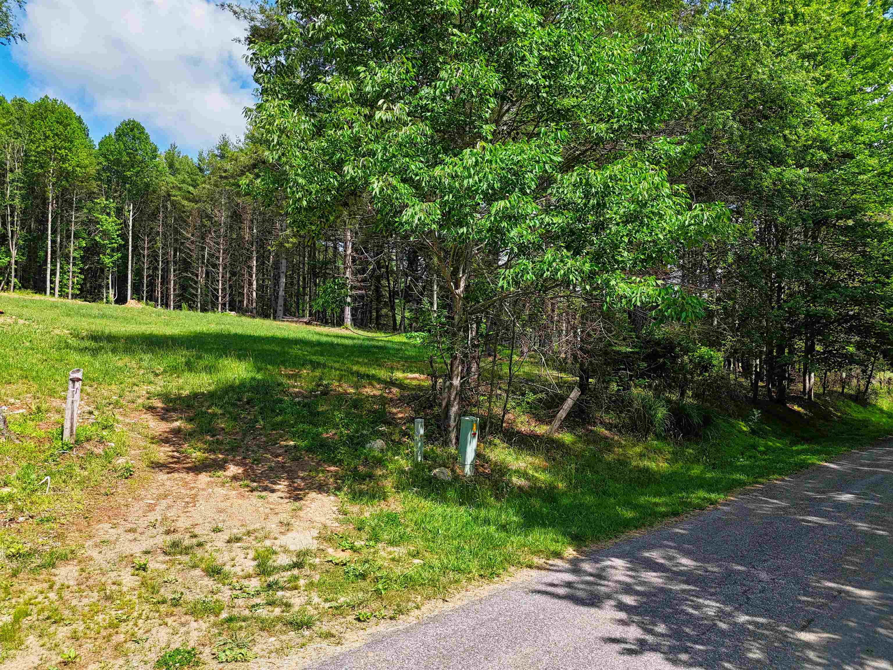 Tbd Dogwood Lane Willis VA 24380