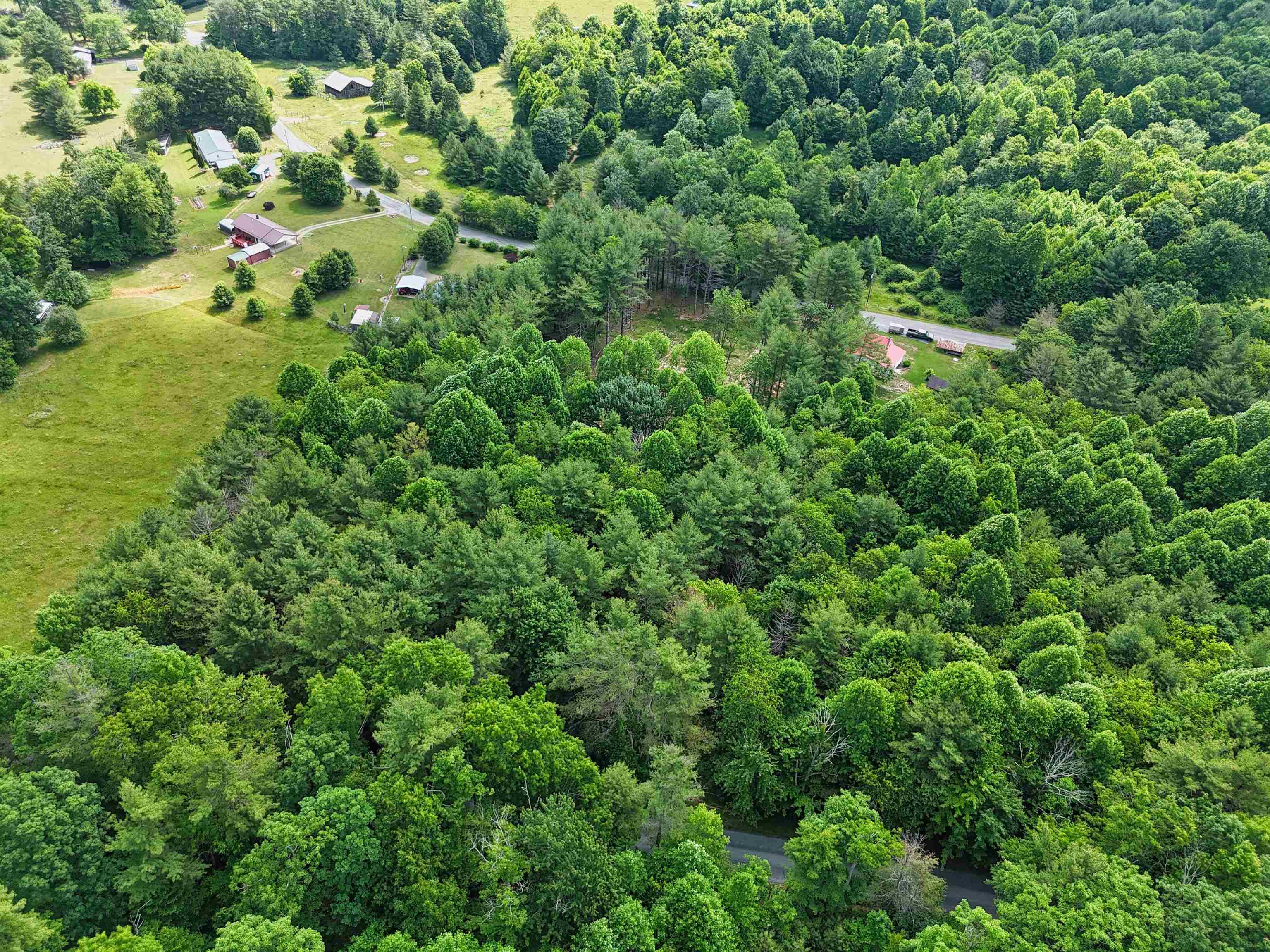Tbd Dogwood Lane Willis VA 24380