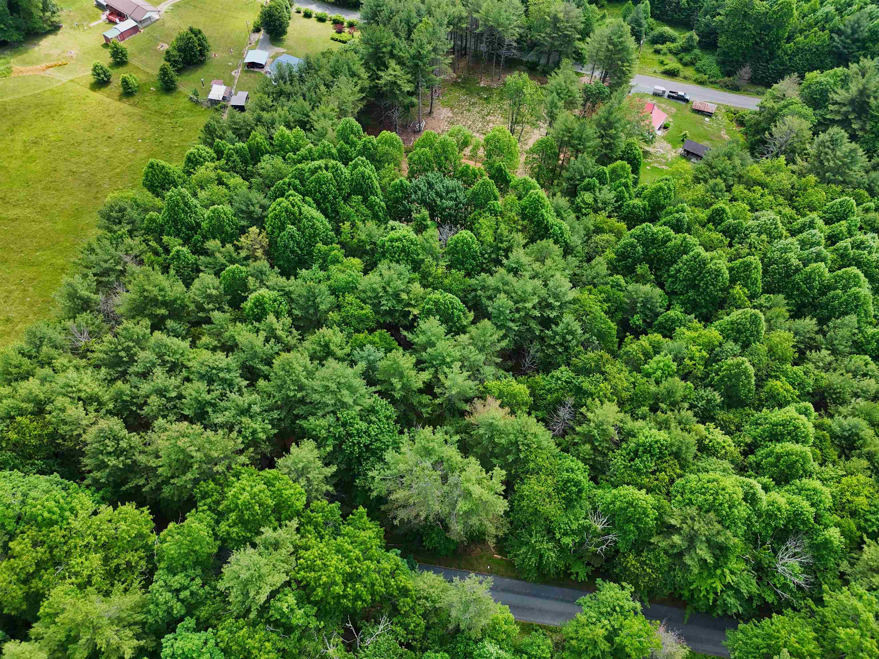 Tbd Dogwood Lane Willis VA 24380
