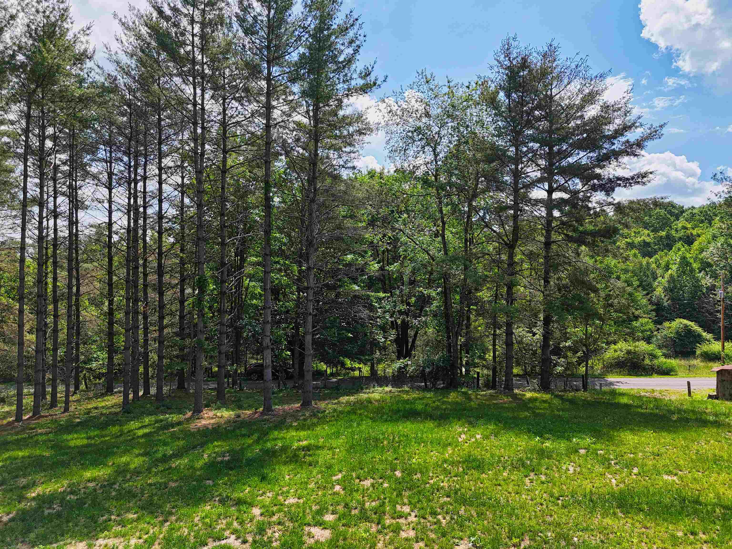 Tbd Dogwood Lane Willis VA 24380