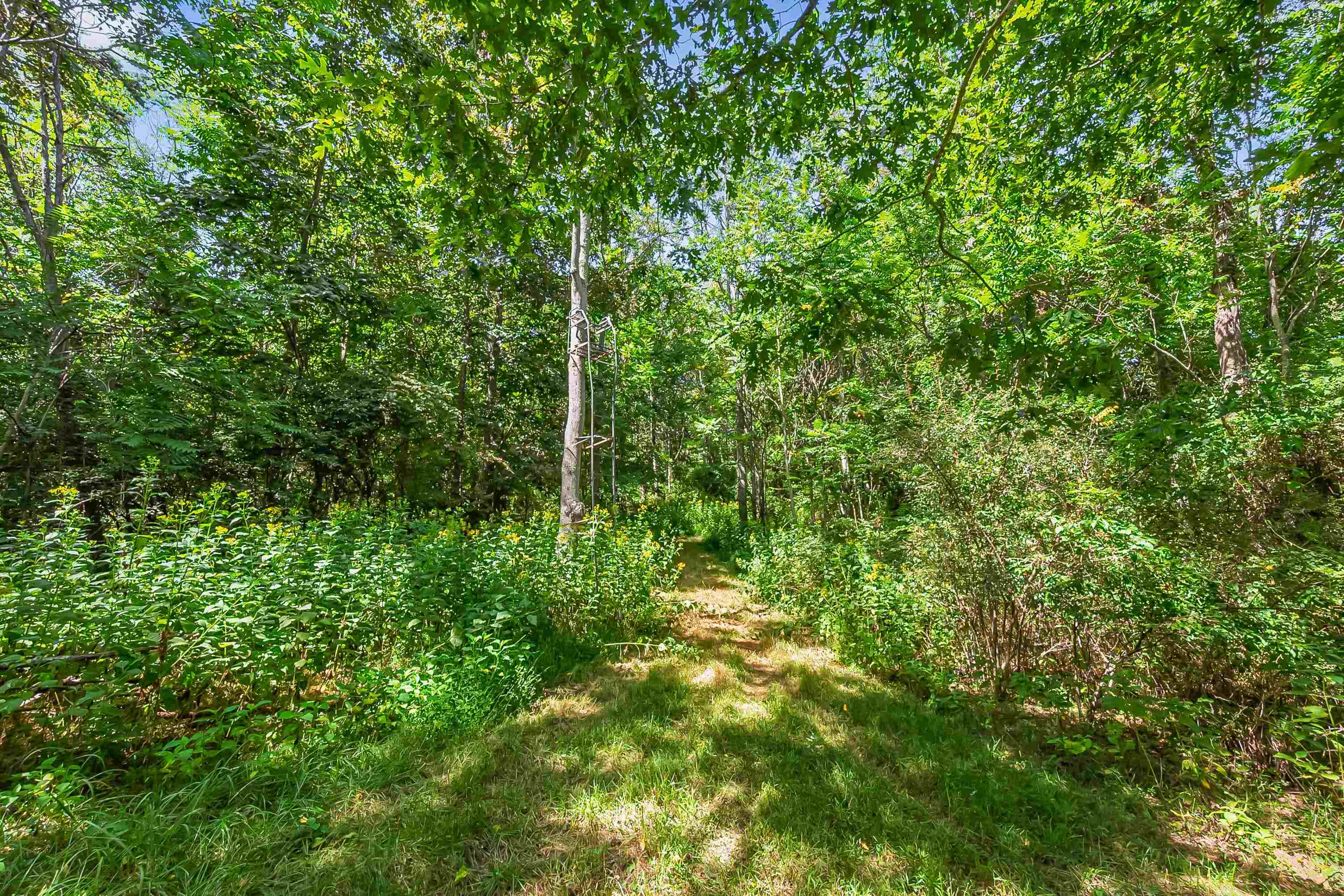 Tbd Bishop Road Blacksburg VA 24060