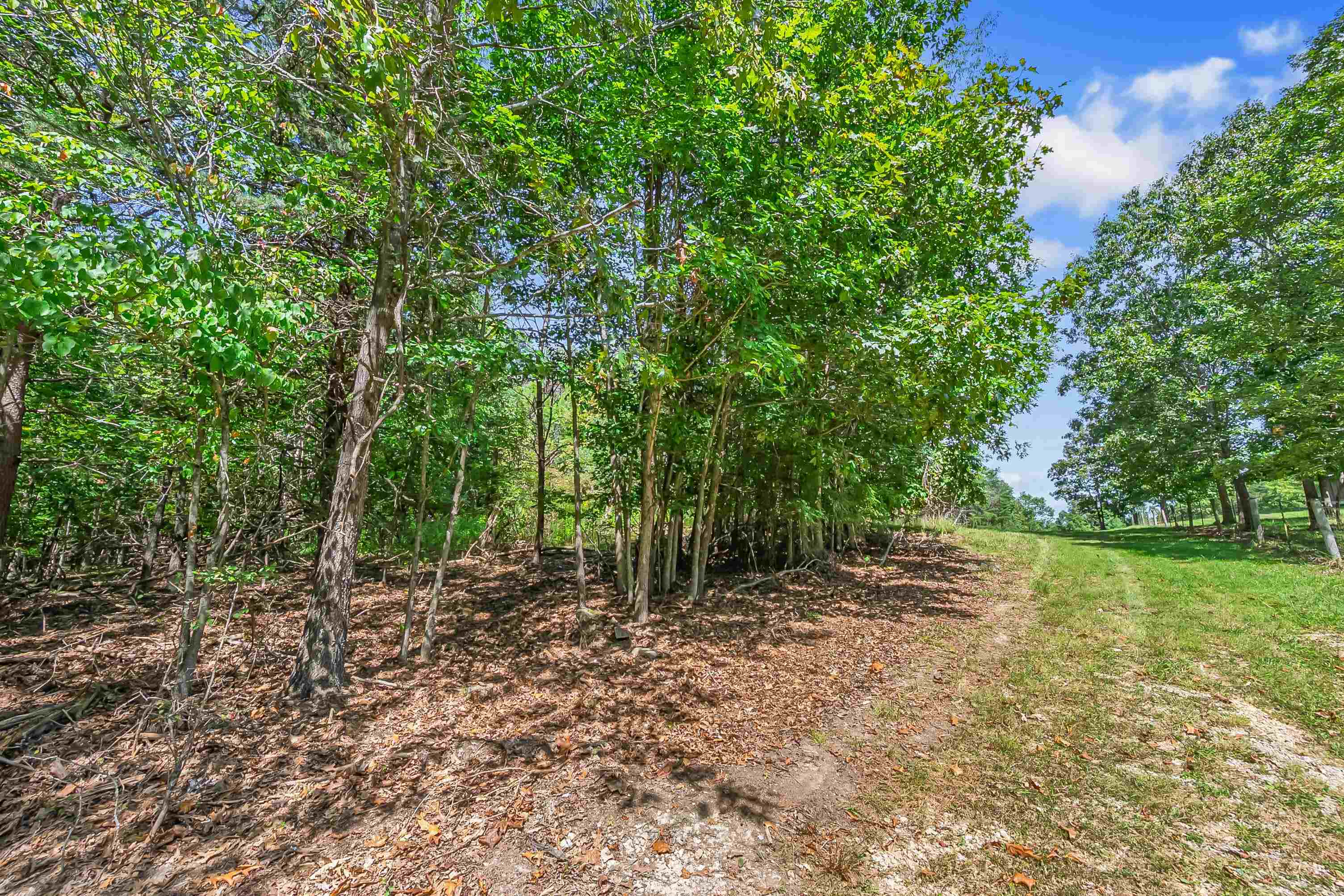 Tbd Bishop Road Blacksburg VA 24060