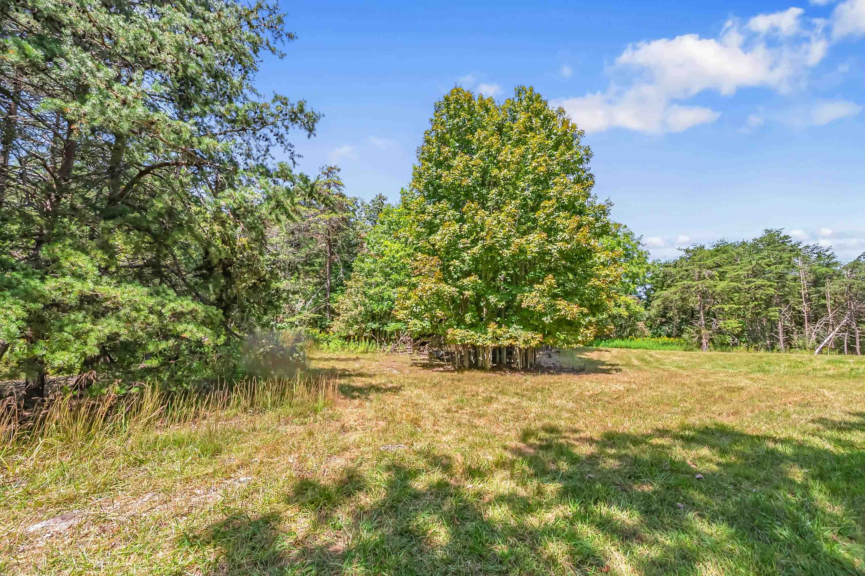 Tbd Bishop Road Blacksburg VA 24060