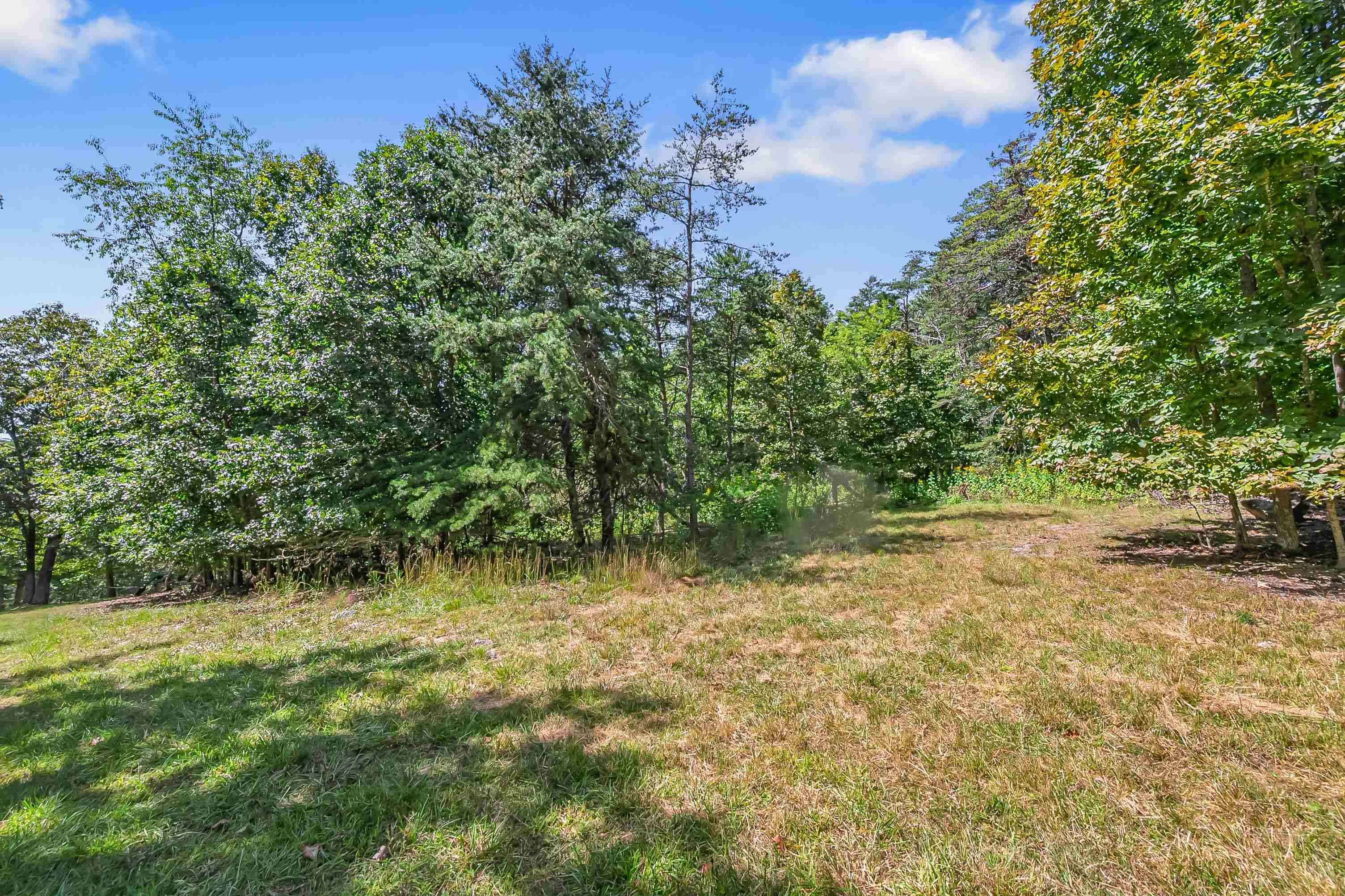 Tbd Bishop Road Blacksburg VA 24060