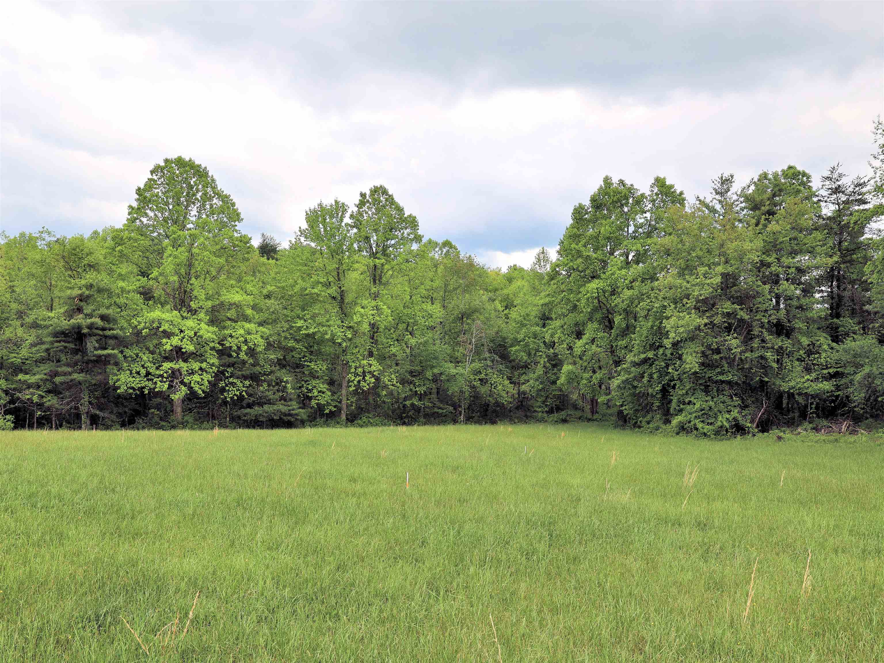 Tbd Franklin Pike SE Floyd VA 24091
